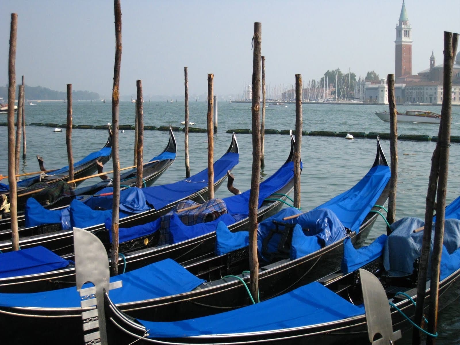 Blue boats on the seashore
