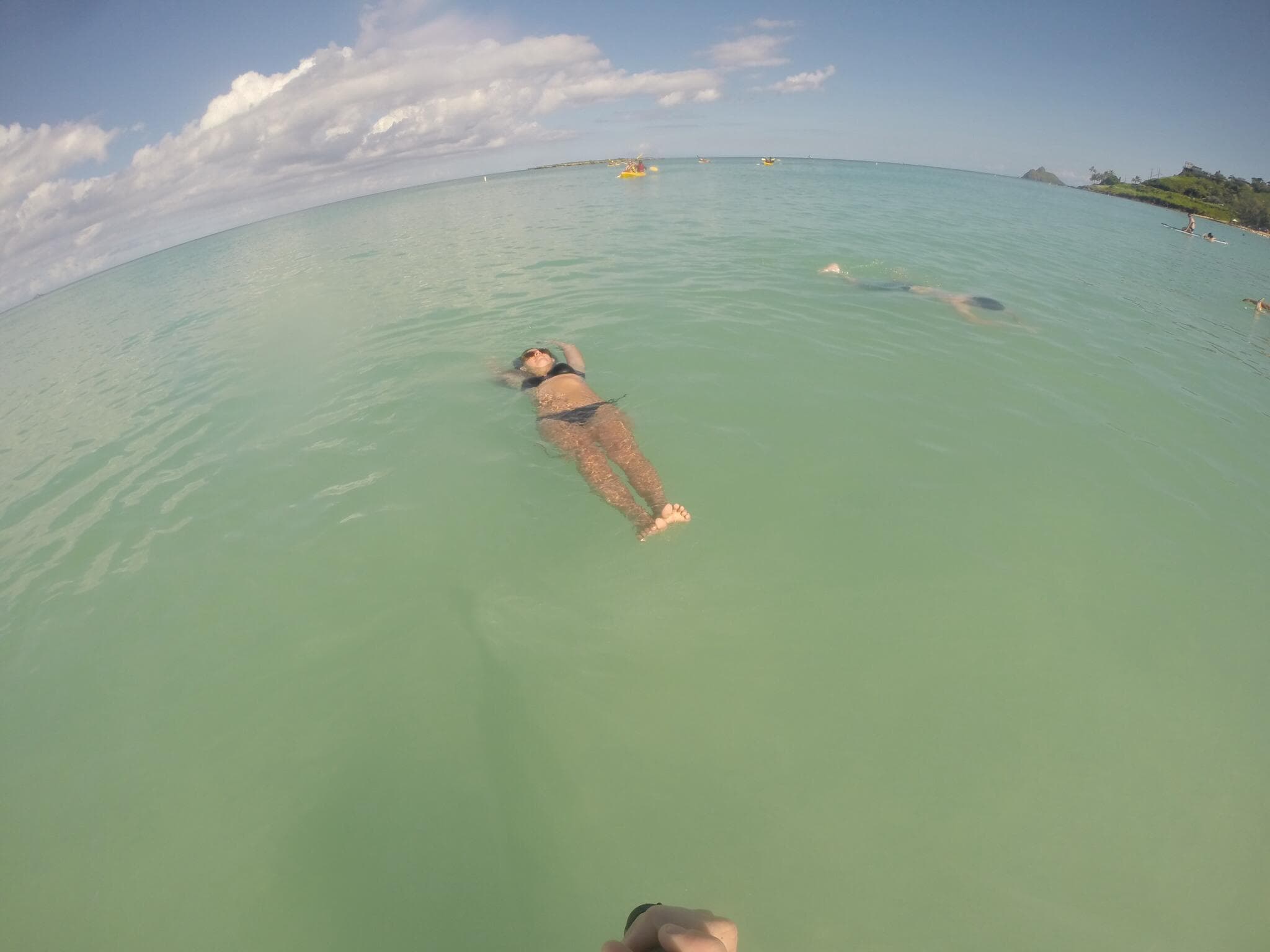 A fisheye lens view of Amber floating on green water in a black swimsuit.