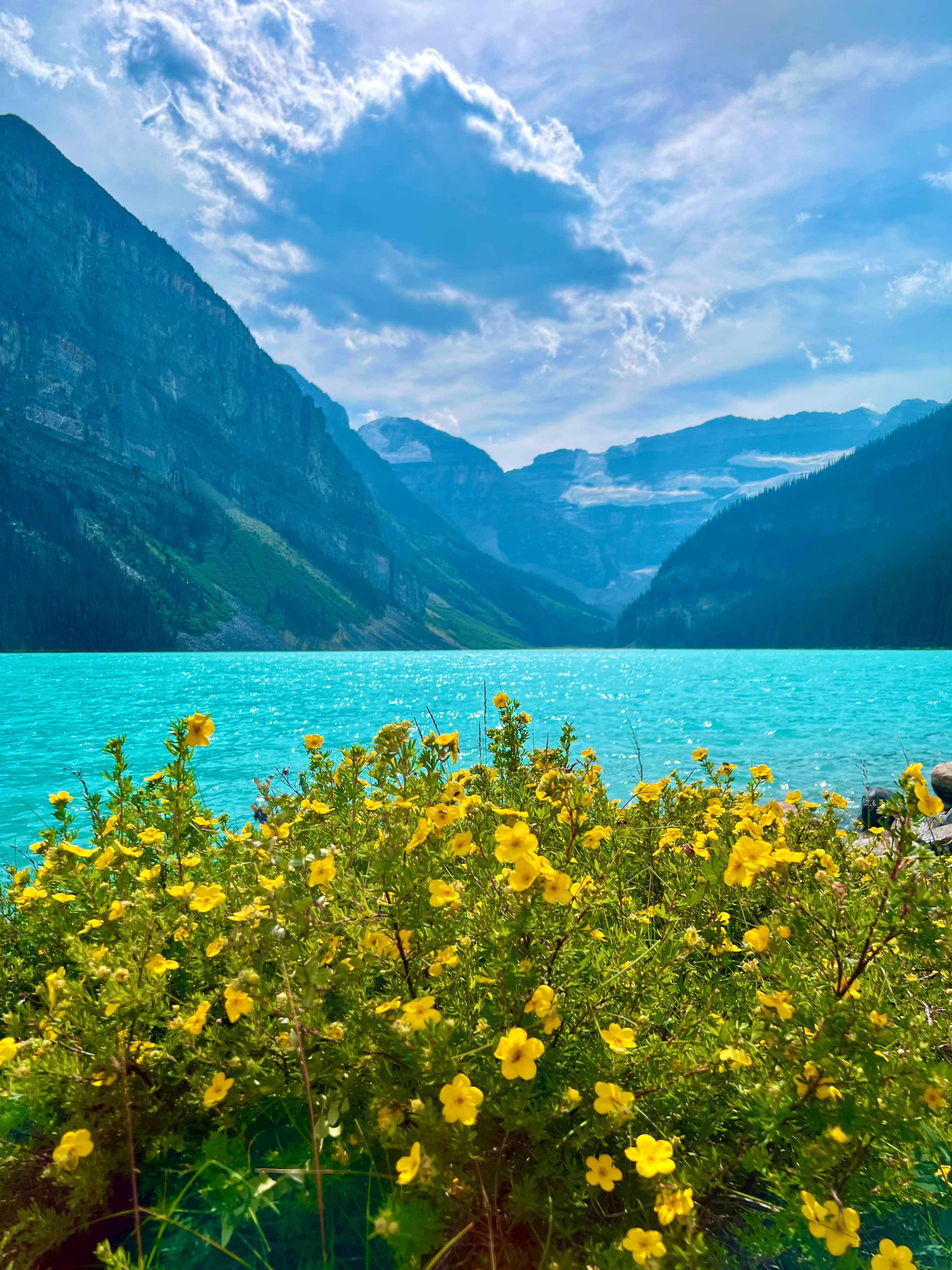 A beautiful blue lake with mountains and a yellow flower bed.