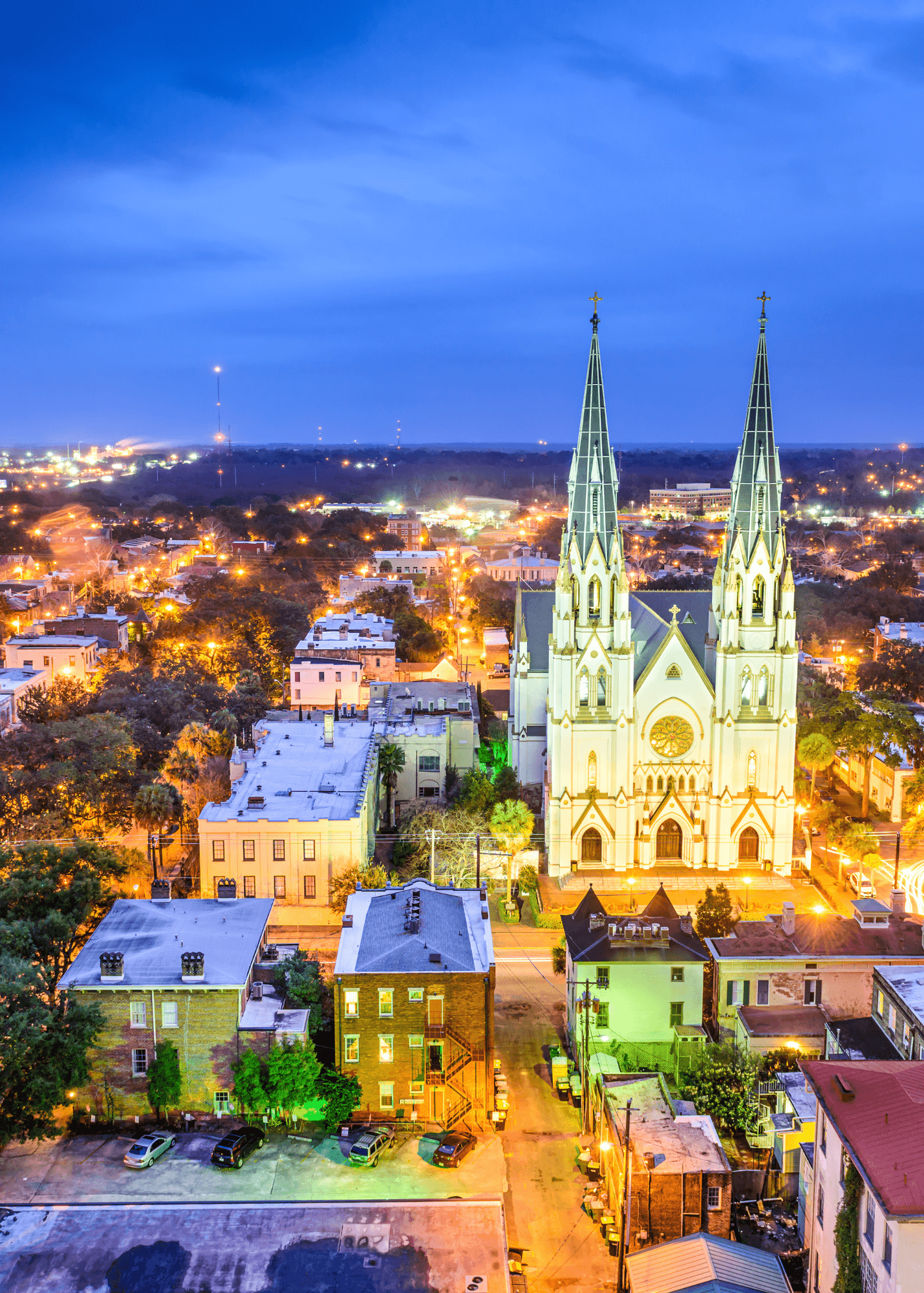 Savannah all lighten up