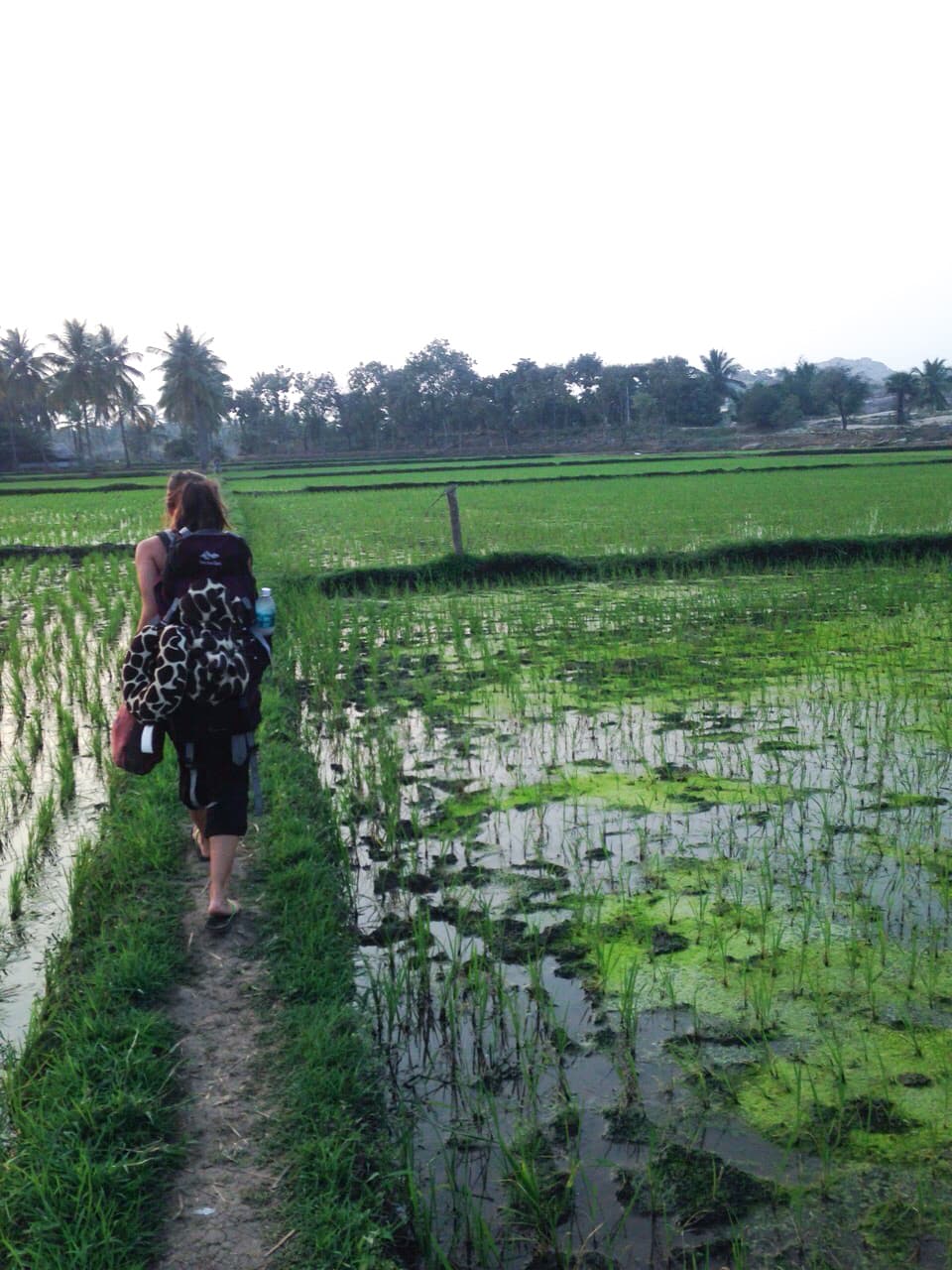 Travel advisor posing in a field