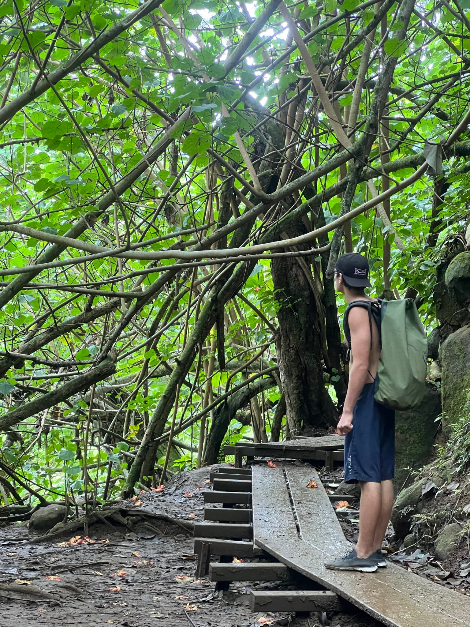 Chanda in countryside