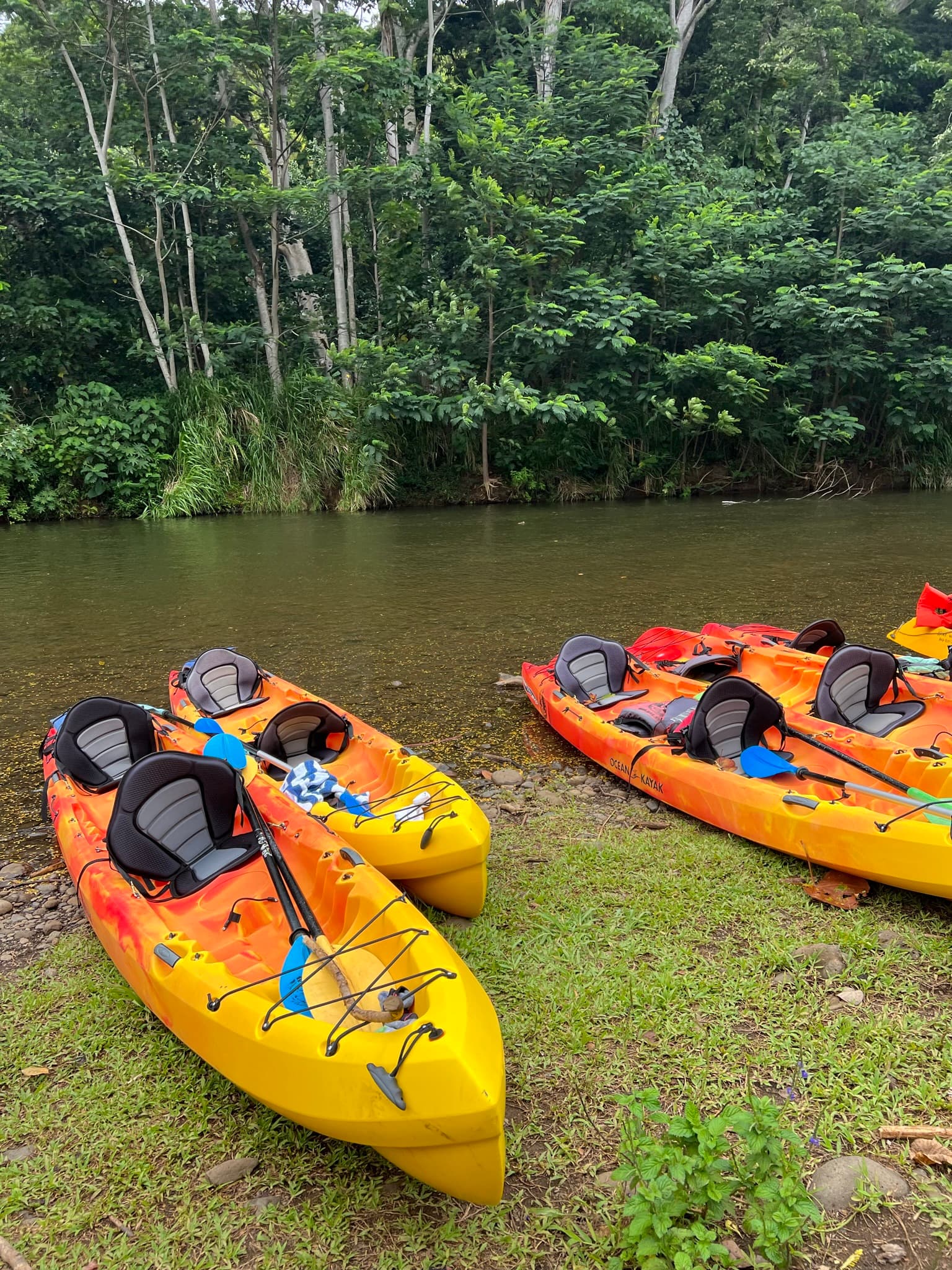 Colorful boats near water