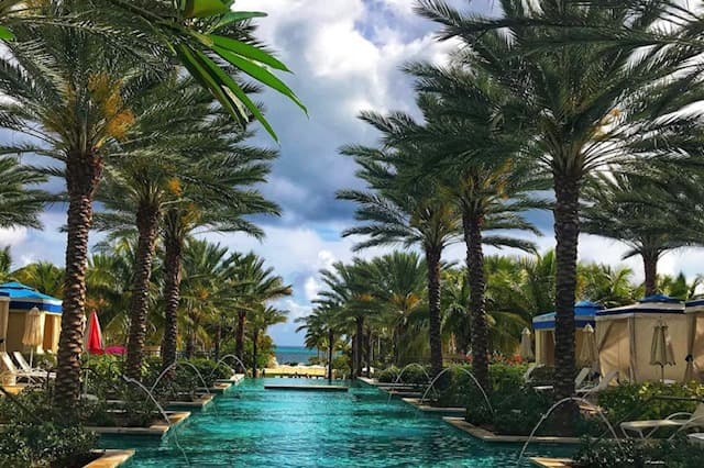 Water body through palm trees