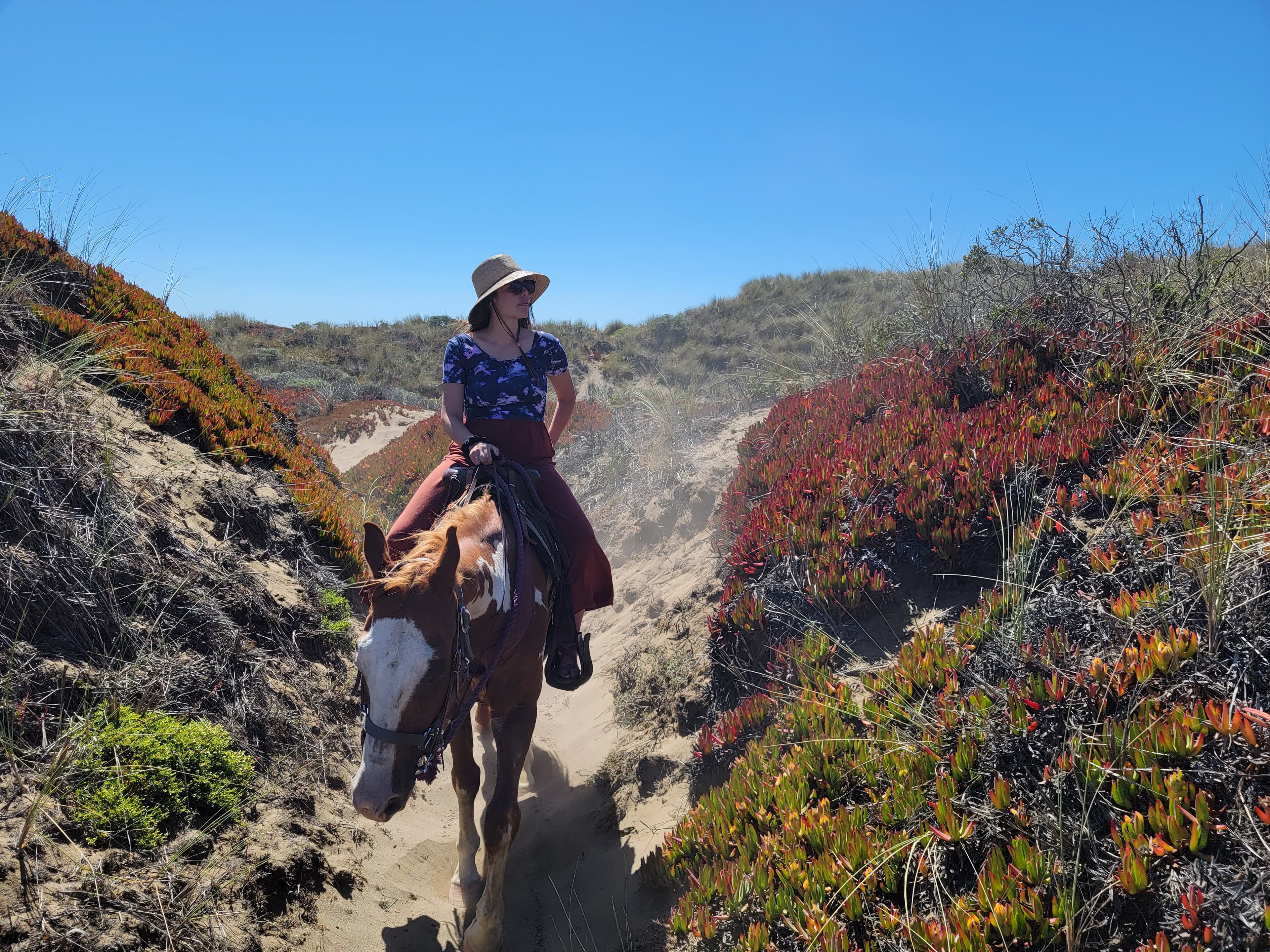 Travel advisor riding a horse