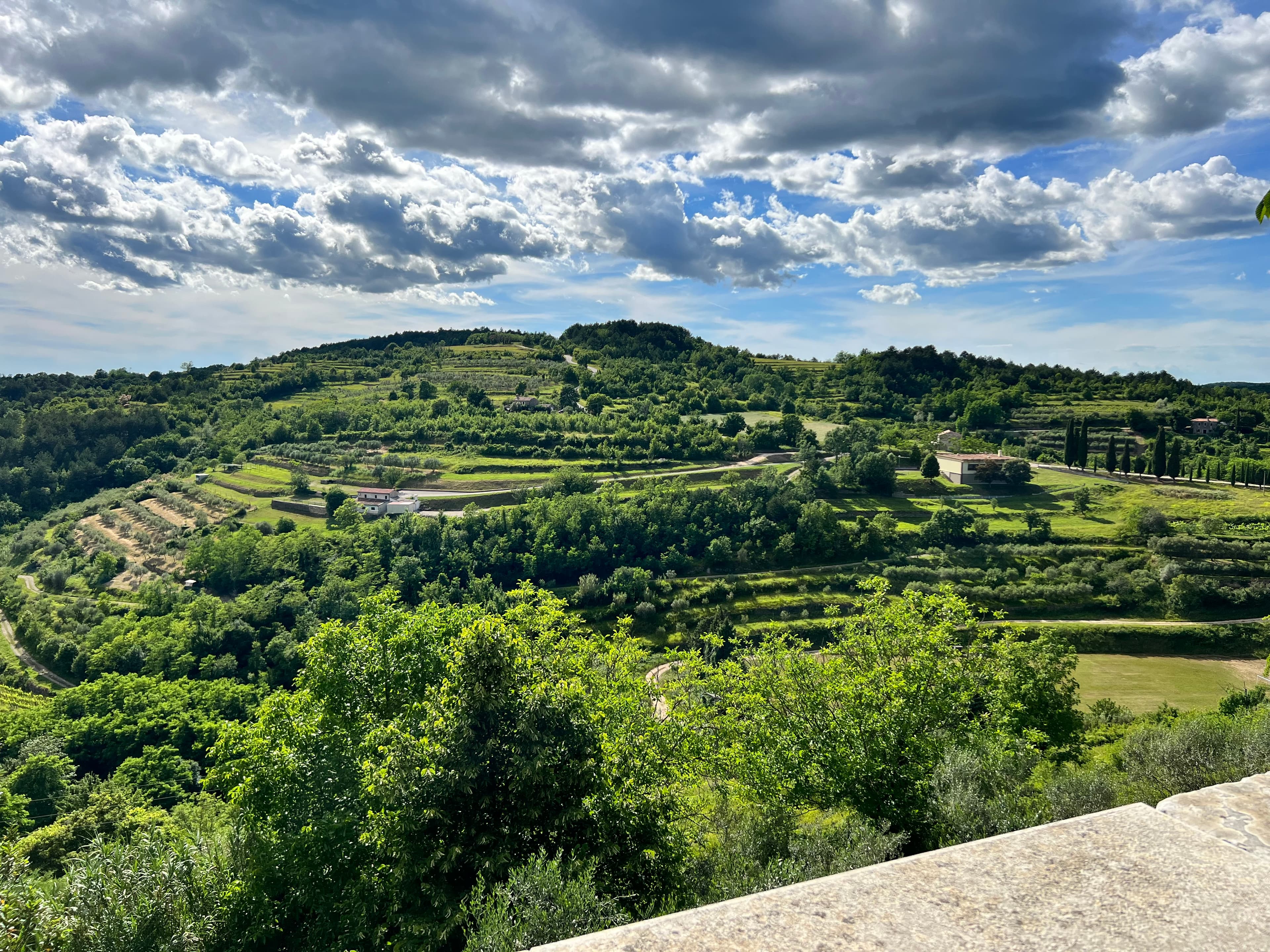 A green valley with the blue sky and white clouds above