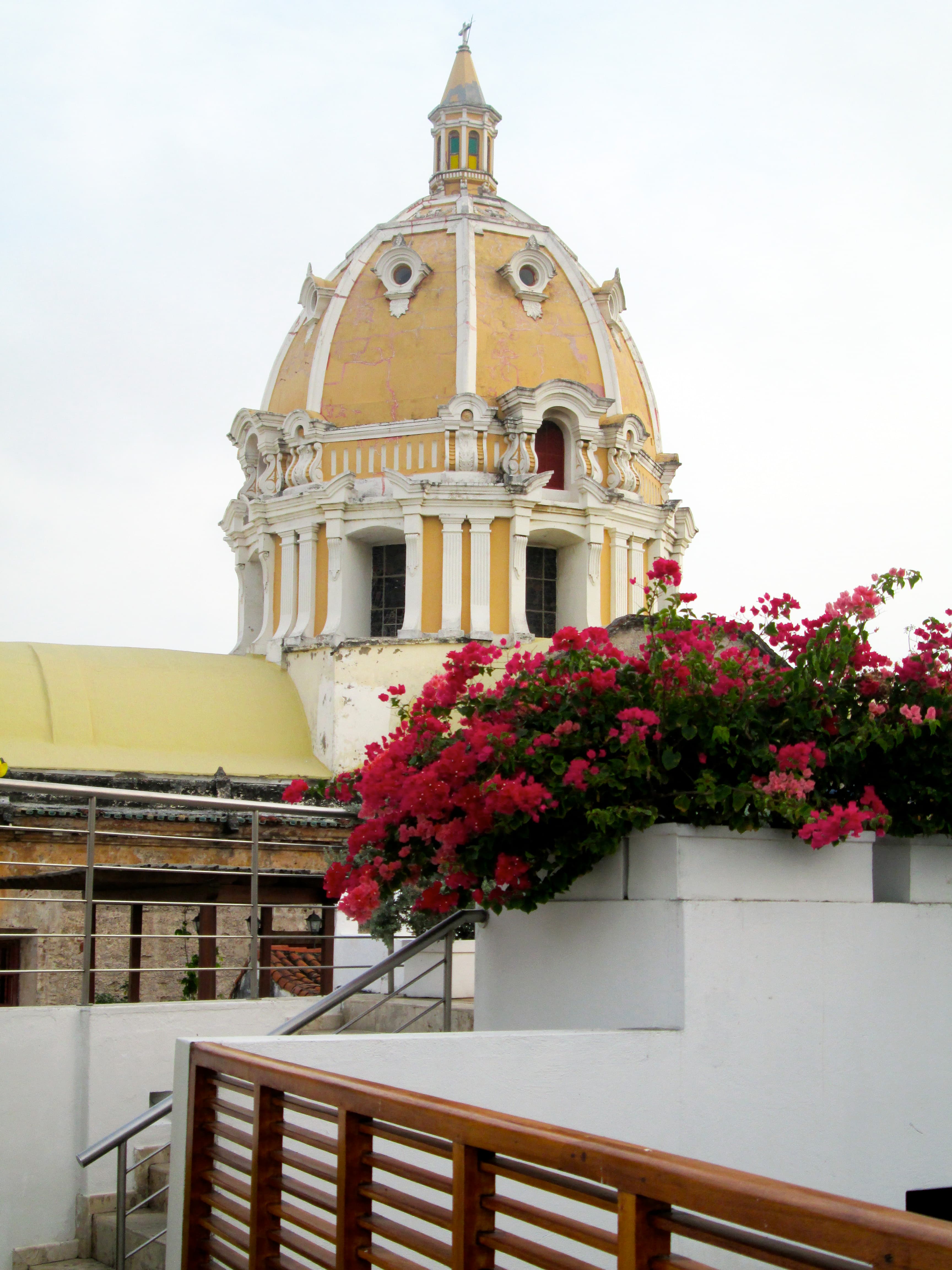 Cartagena skyline and bougainvillea.