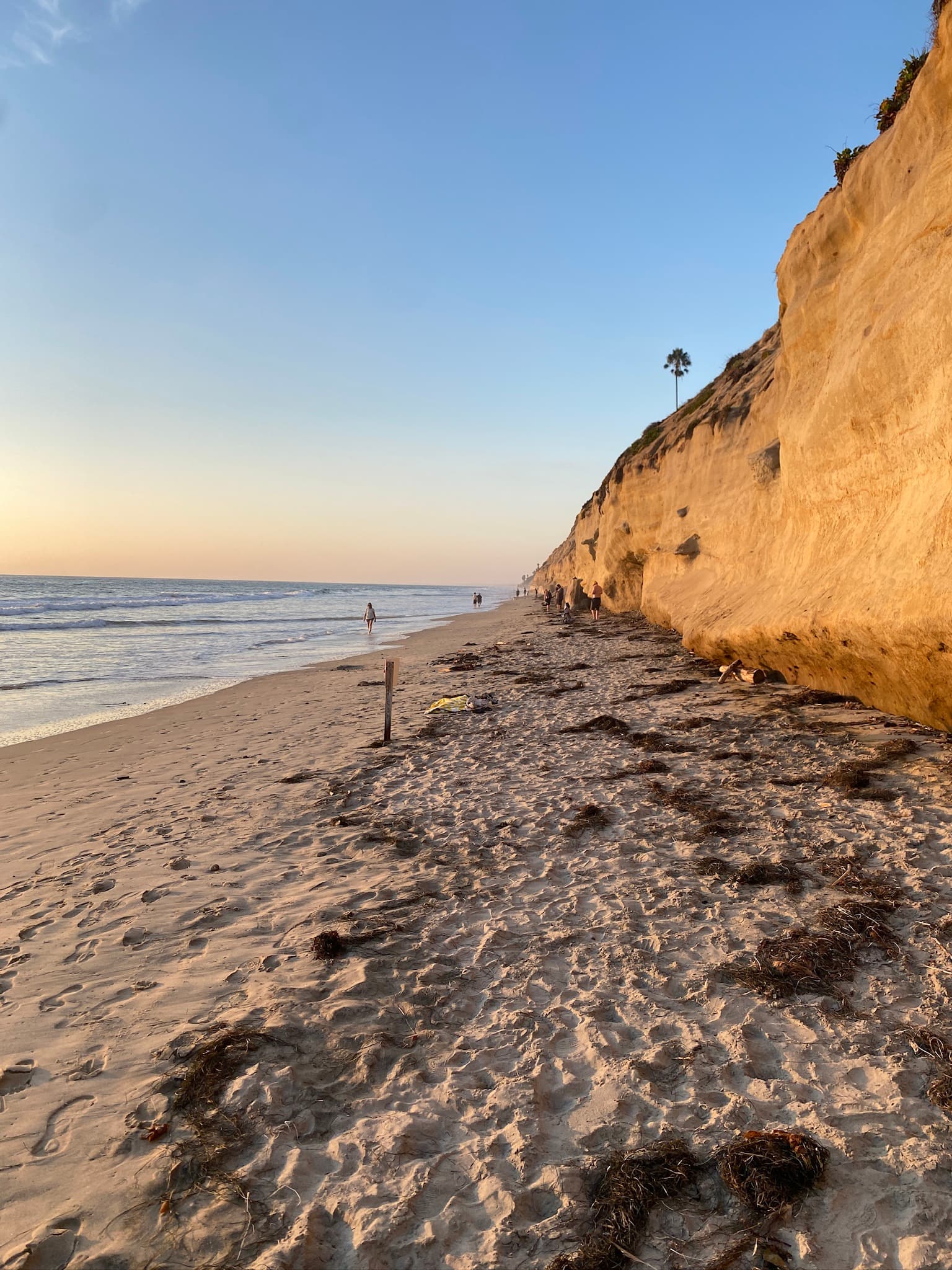 A beautiful sandy coastline with the ocean in the distance