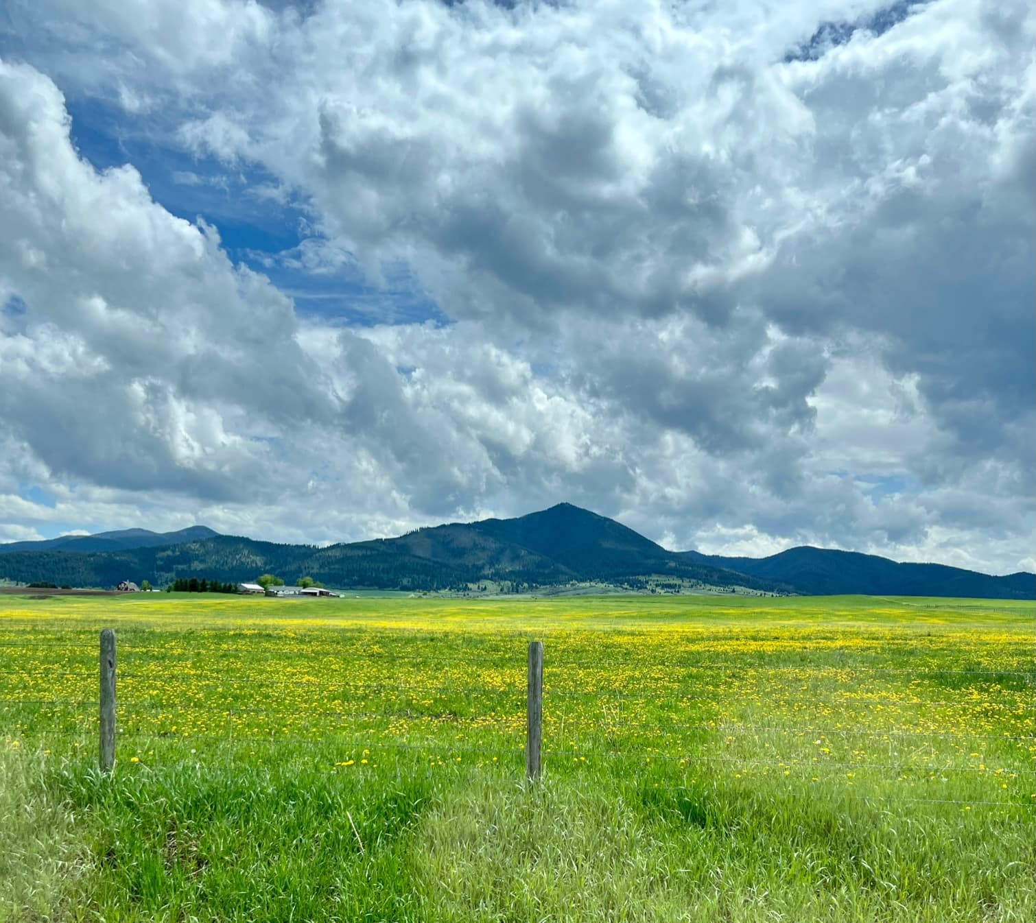 Lucas-Mittenentzwei-travel-5