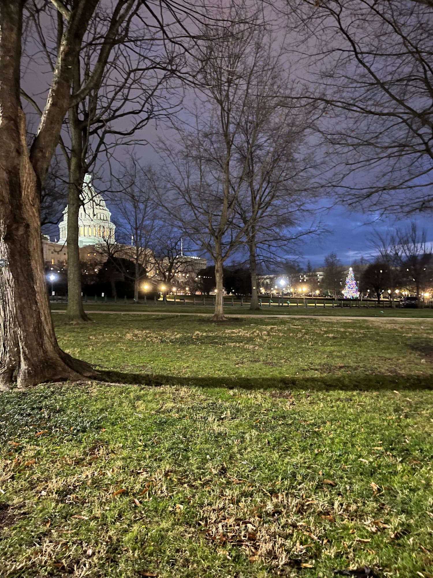 Staycationing in Washington DC curated by Bethany Bloom