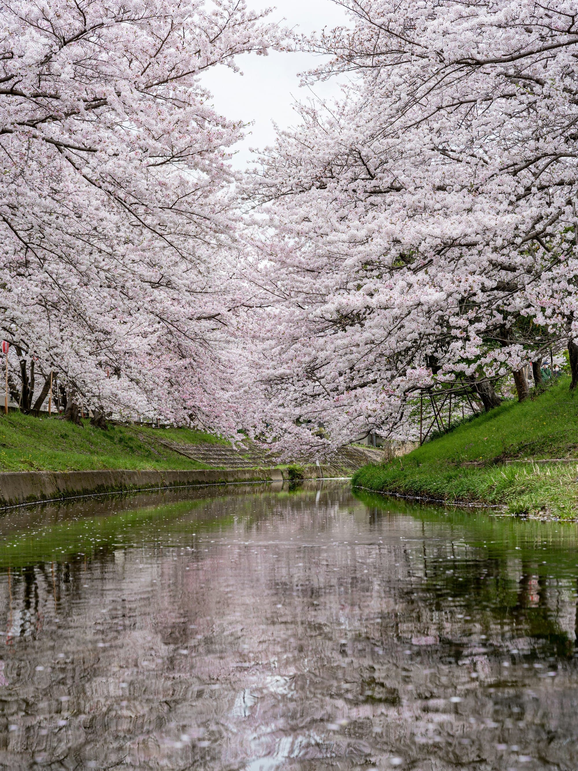 Solo Travel: Japan curated by Brogden Heidenreich