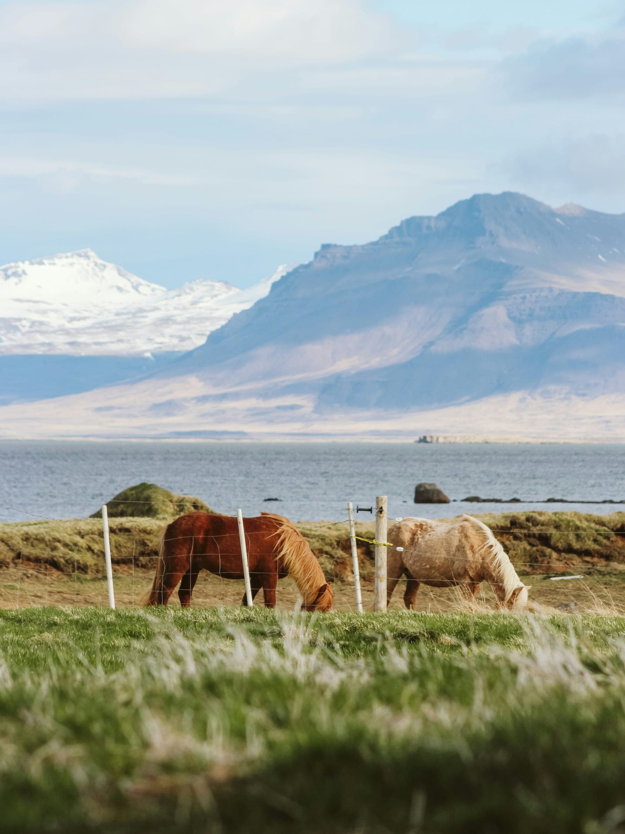 Ultimate 7-Day Patagonia Itinerary: Best Hikes, Glaciers and Wildlife in Chile & Argentina curated by Anna Hahn