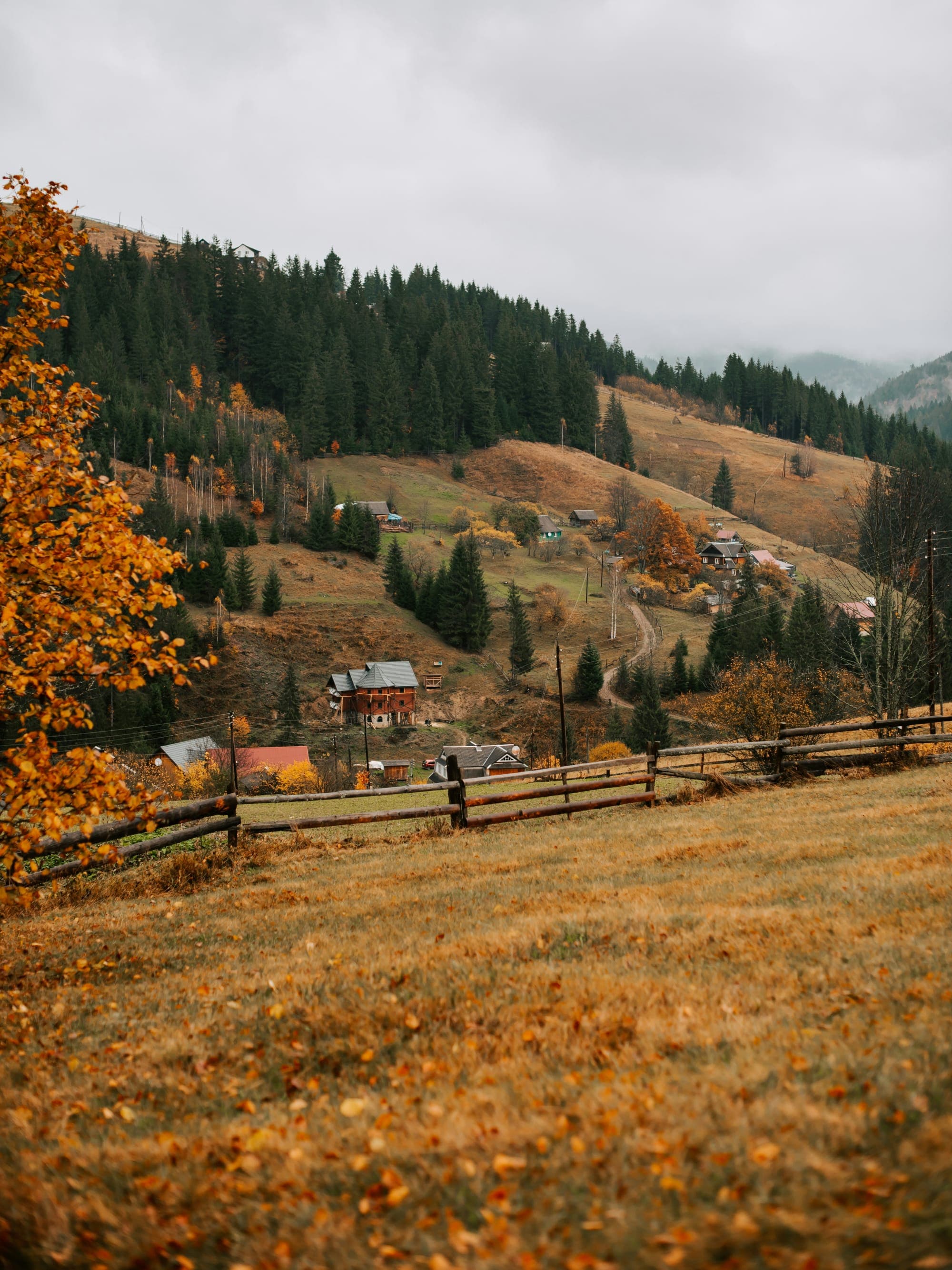 7 Day Alberta Itinerary: Calgary, Banff, Lake Louise, Moraine Lake, Jasper and Yoho National Park curated by Anna Hahn