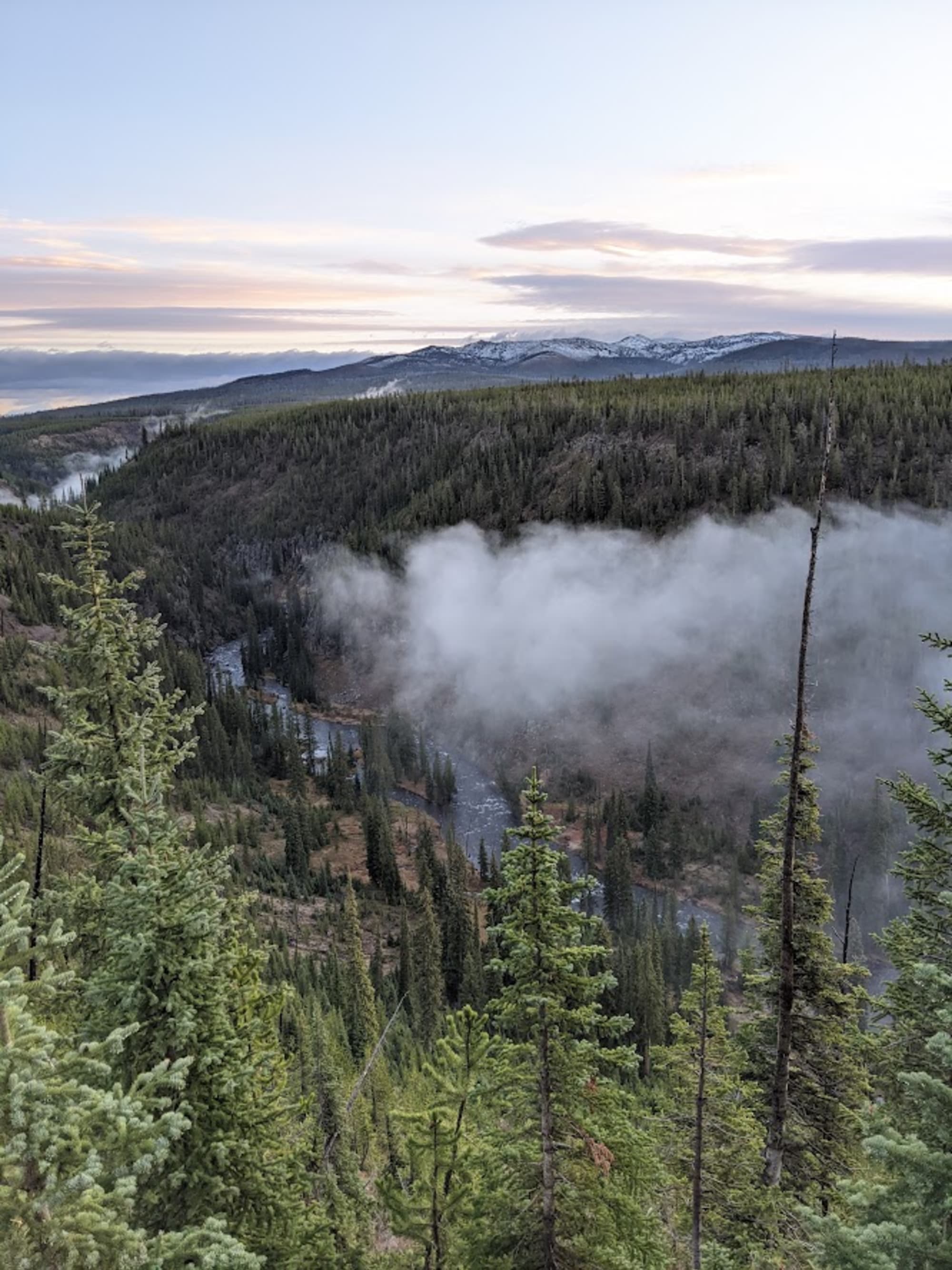 Vacay Espresso: Exploring Jackson Hole, Yellowstone and Bozeman curated by Kaitlyn Knause