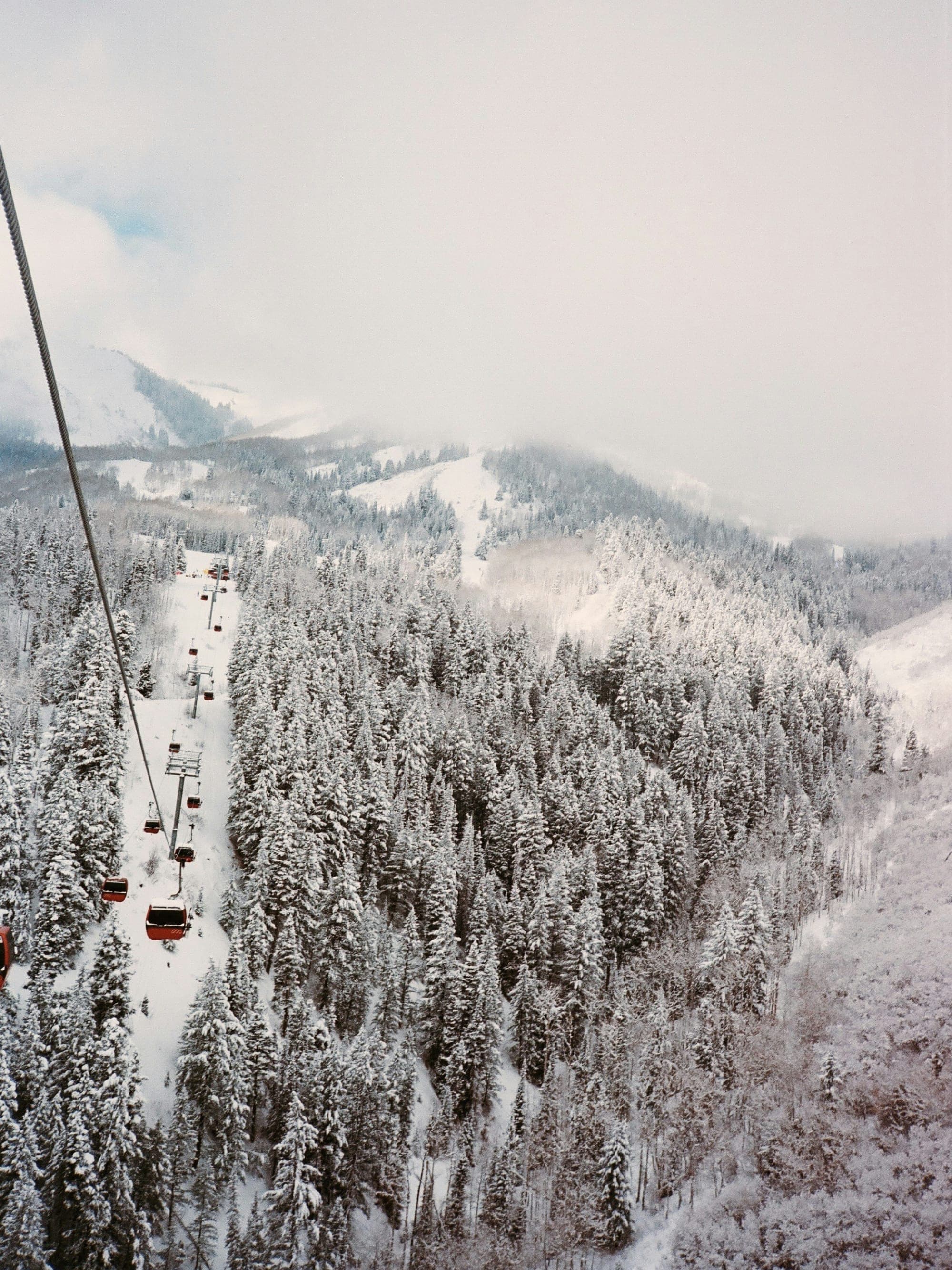 Mountains and More: Welcome to Park City curated by Tara Condon