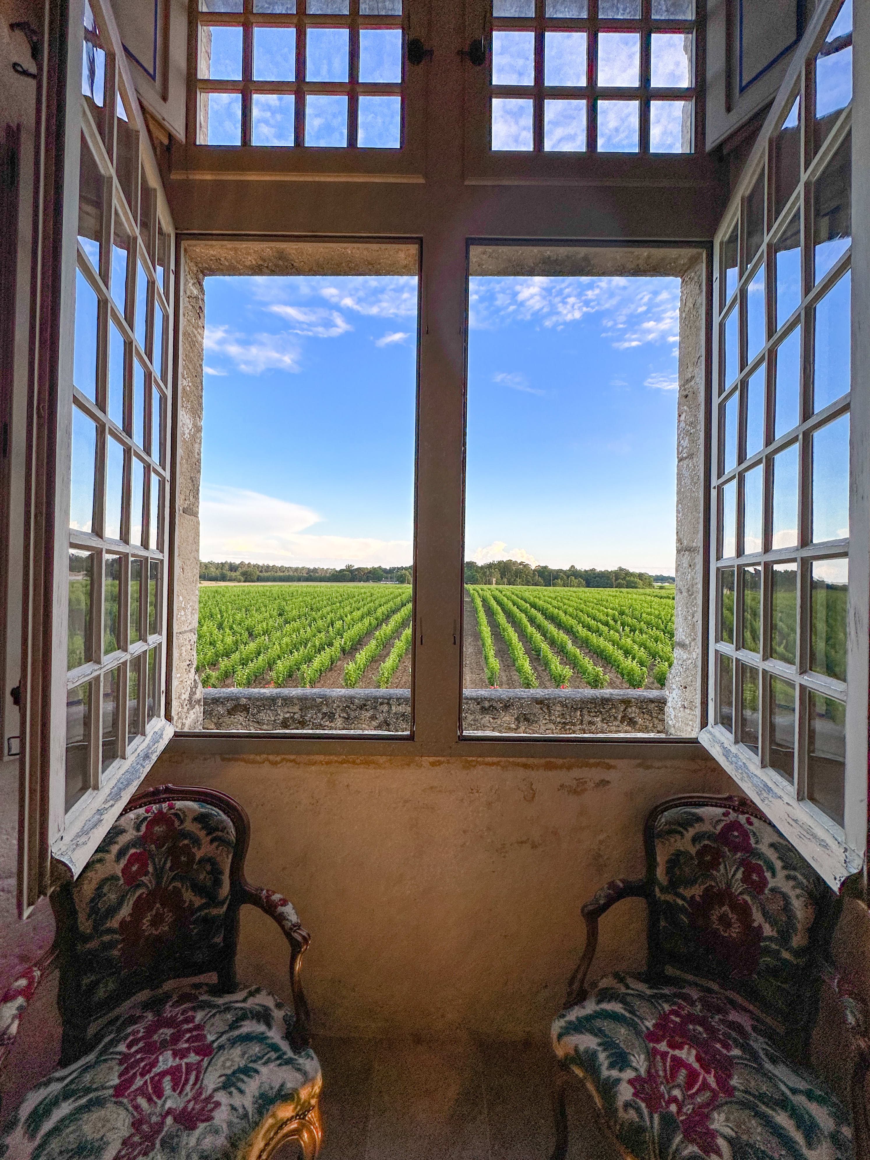 Two chairs positioned in front of an open window with a vineyard in the background