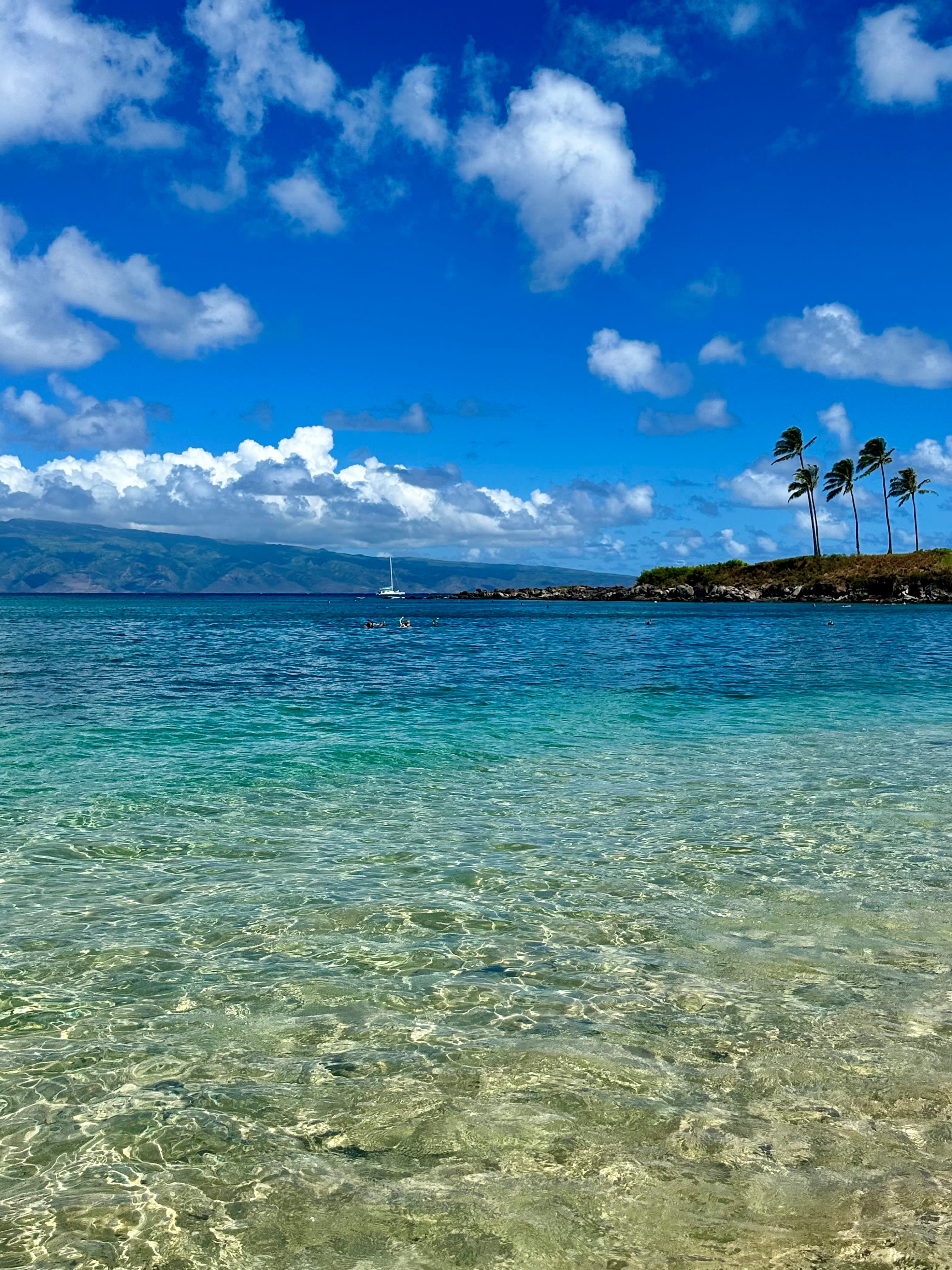 A clear tropical beach with blue skies, a few clouds, and palm trees on the right side.