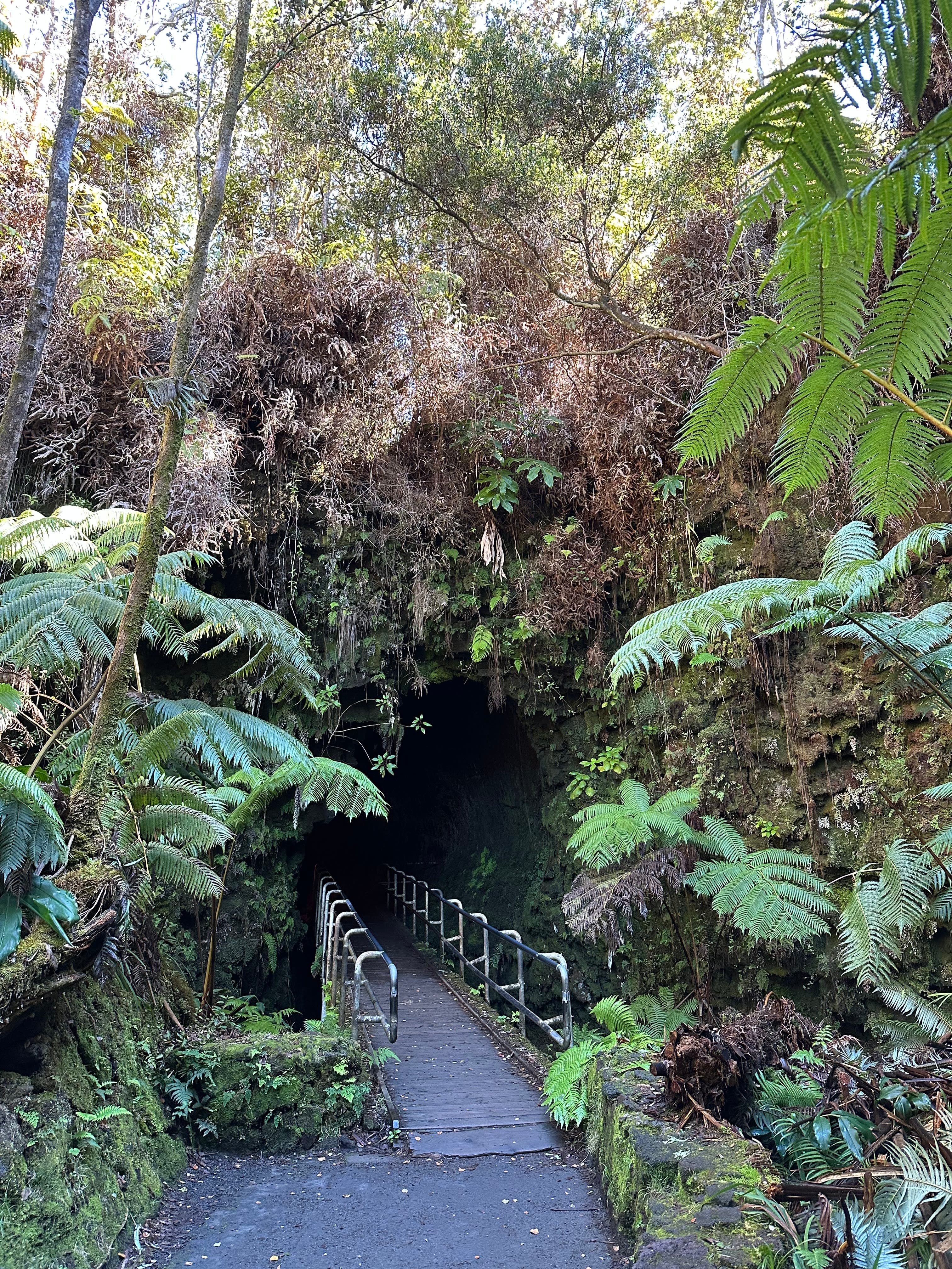 4-Day Itinerary for Visiting Kona, Hawai'i with Kids curated by Lacey Hayes