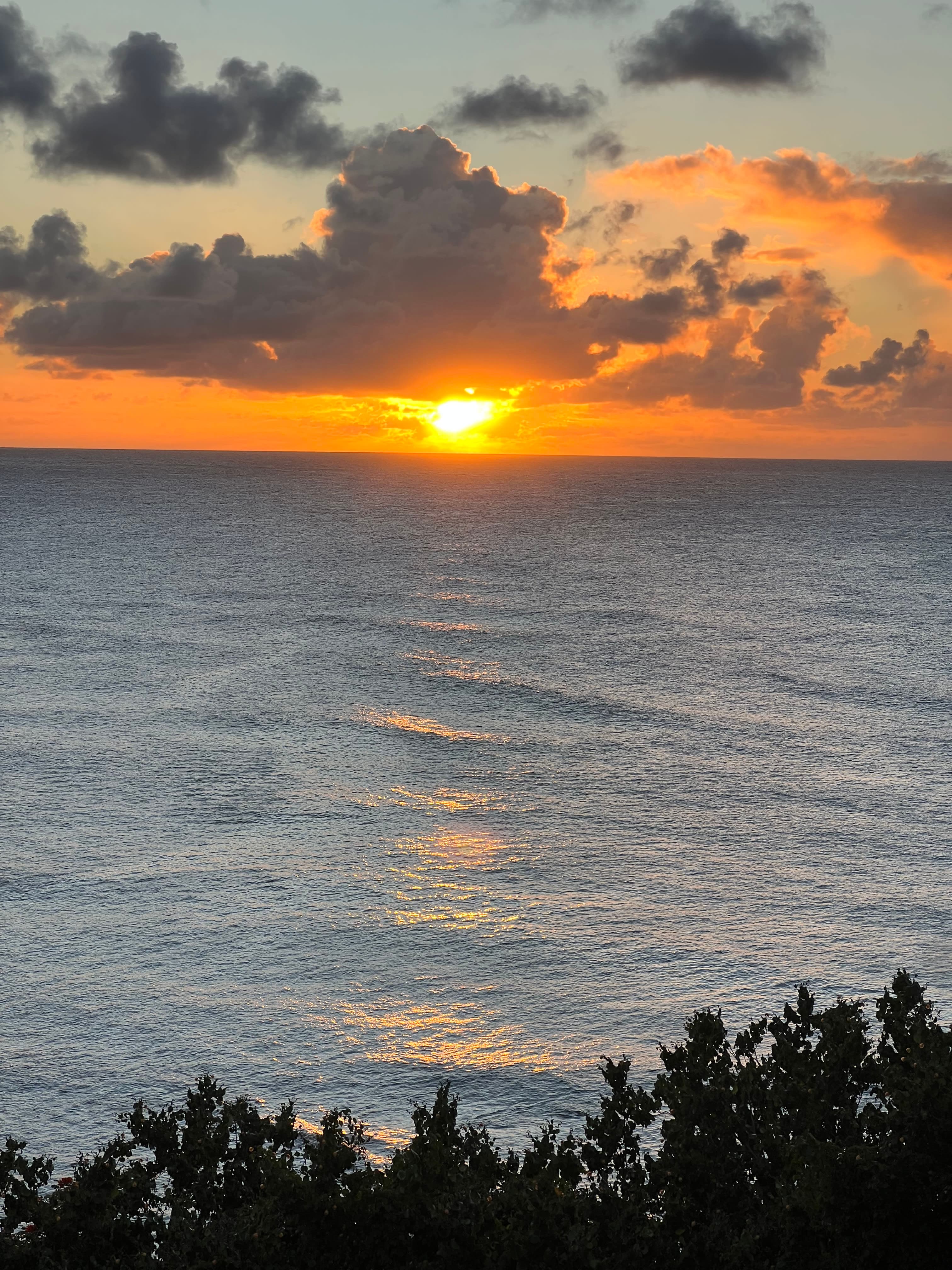 Eco-Friendly Island Luxury: 1 Hotel Hanalei Bay curated by Megan Freedman