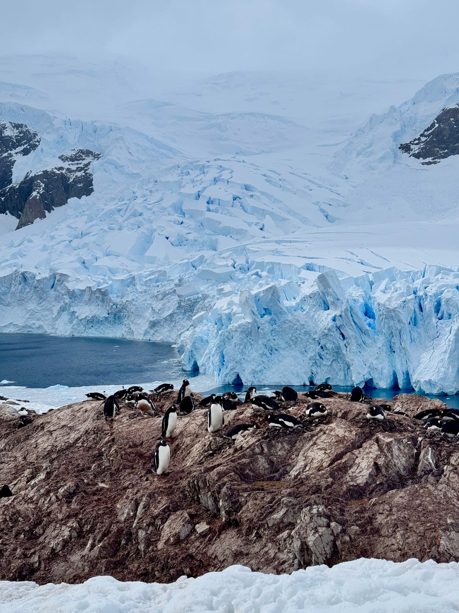 Voyage to Antarctica with Lindblad National Geographic Endurance curated by Kaitlan Leonard
