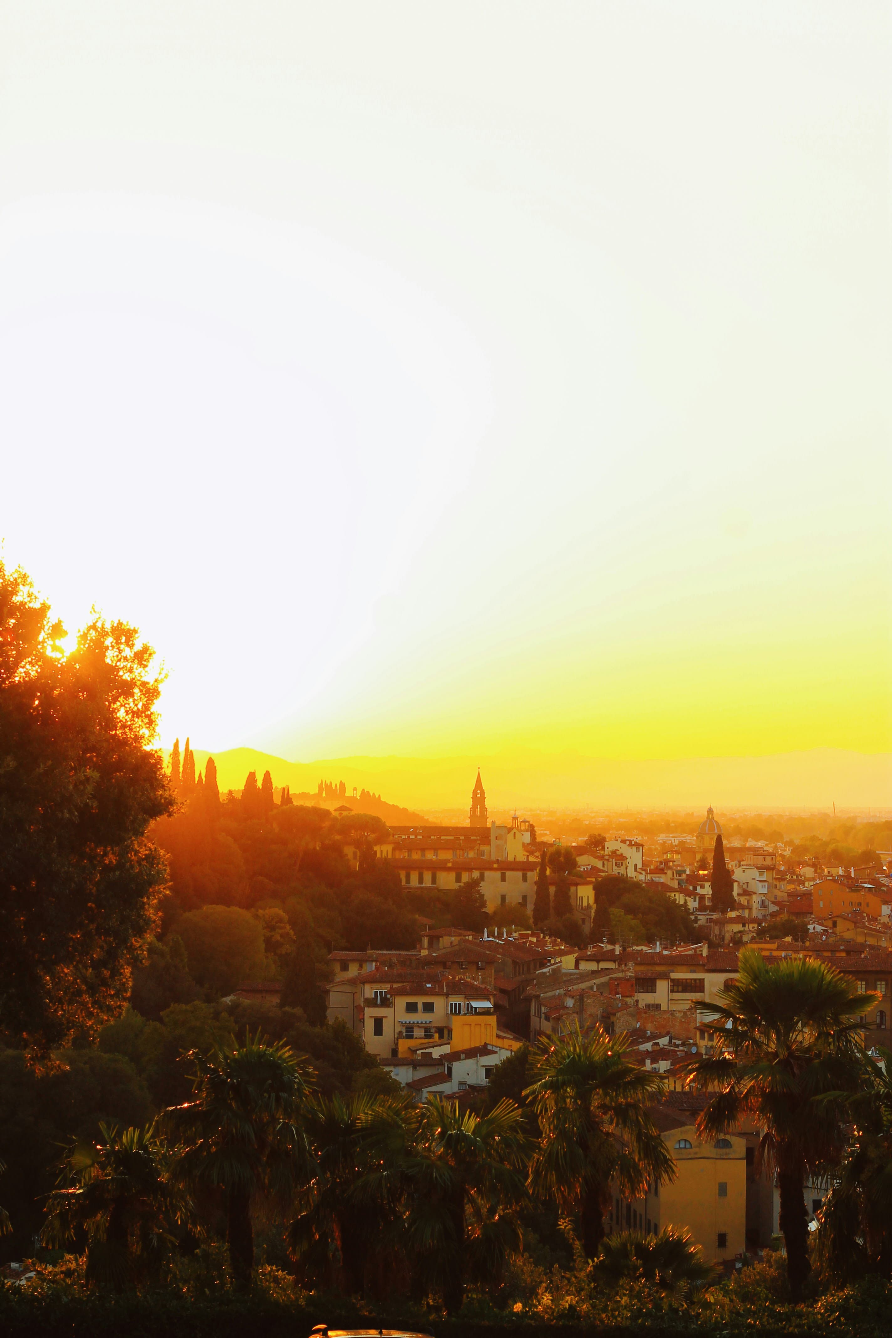 Eating & Drinking Your Way Through Florence curated by Margaret Scott