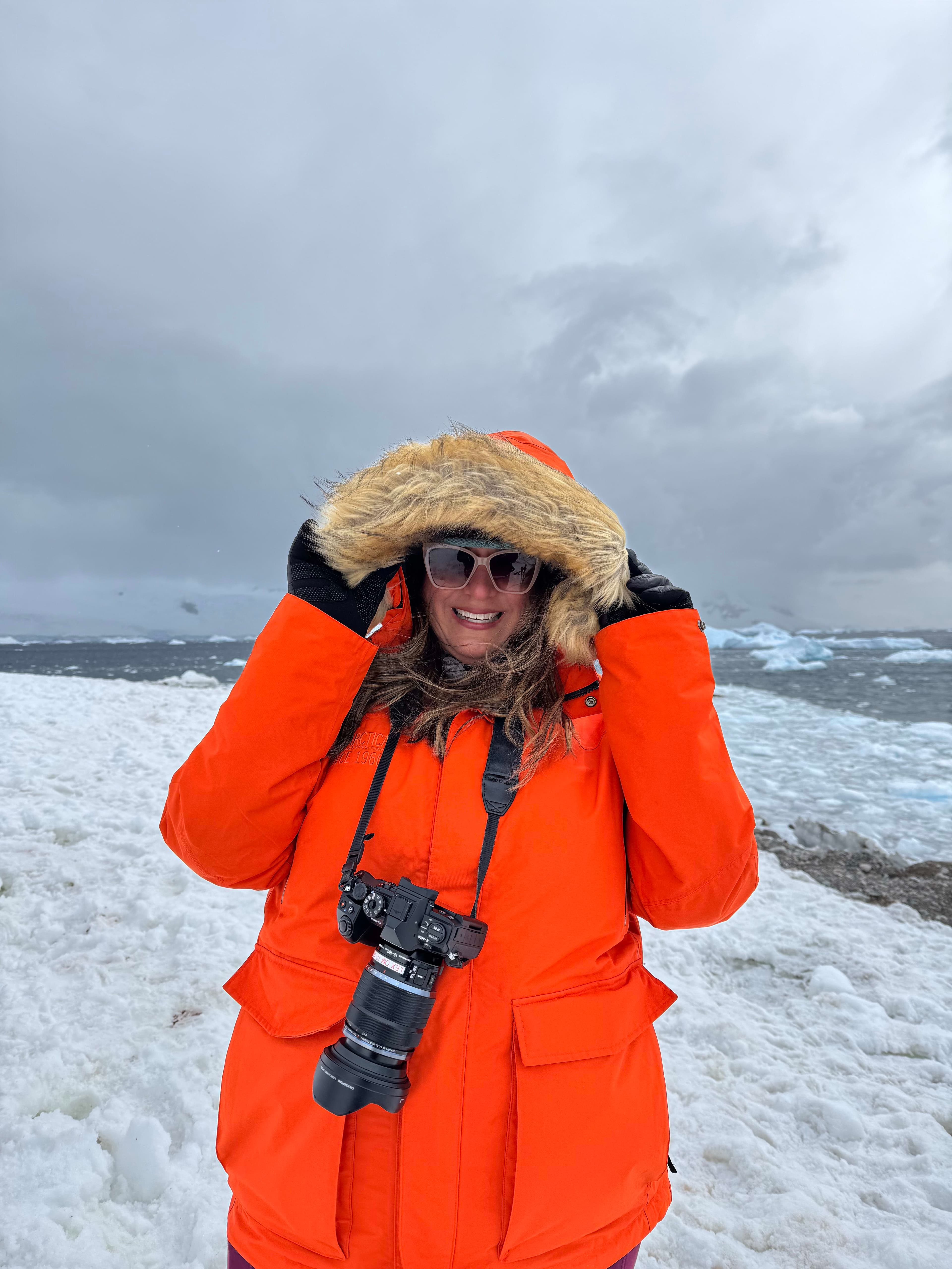 Cruising to Antarctica curated by Melissa Elliott