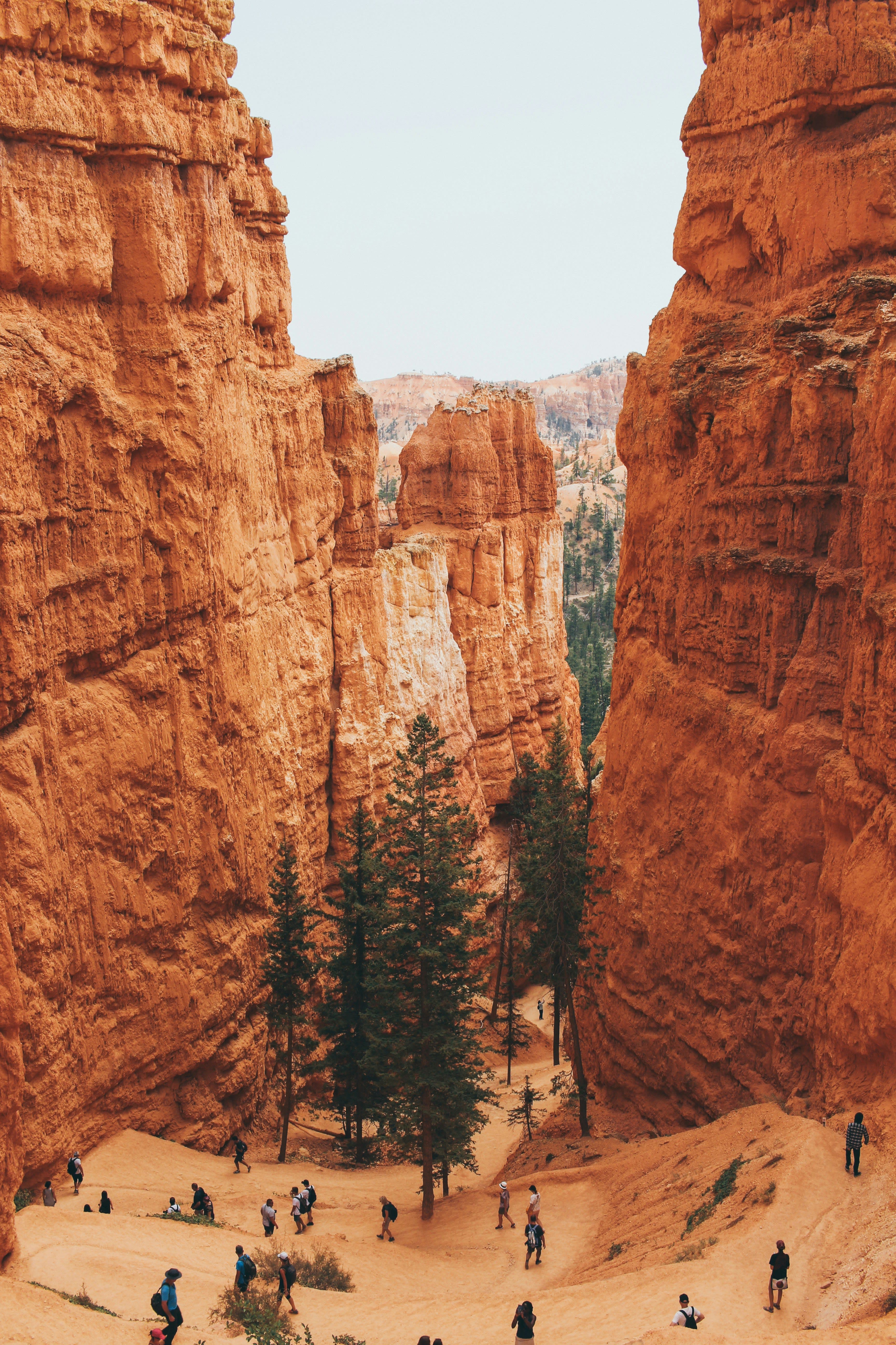 Exploring Zion: Your Ultimate Guide to Adventure and Serenity curated by Brogden Heidenreich