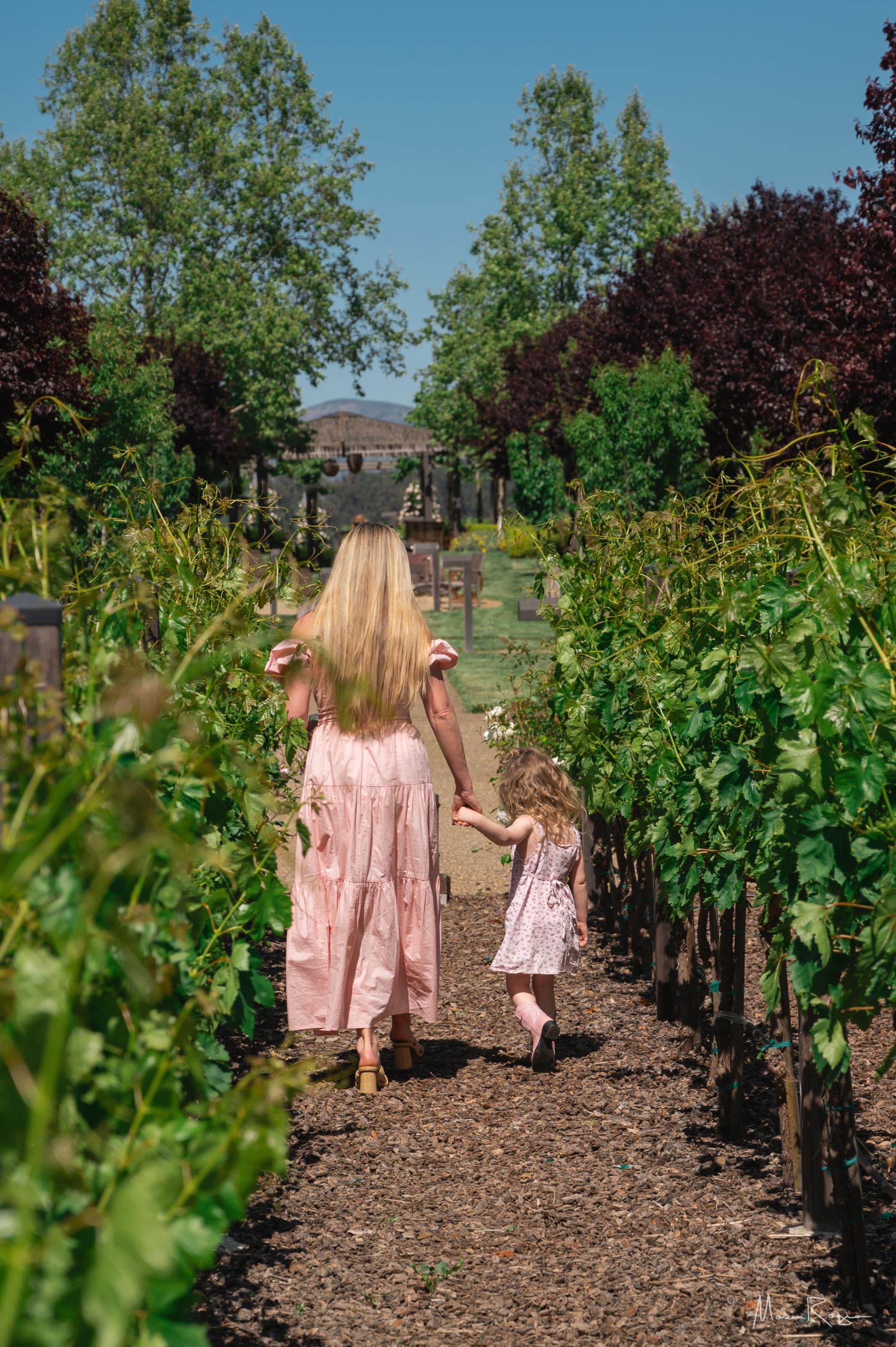 Chelsea and a little girl in pink dresses walking on a path through flowers away from the camera.