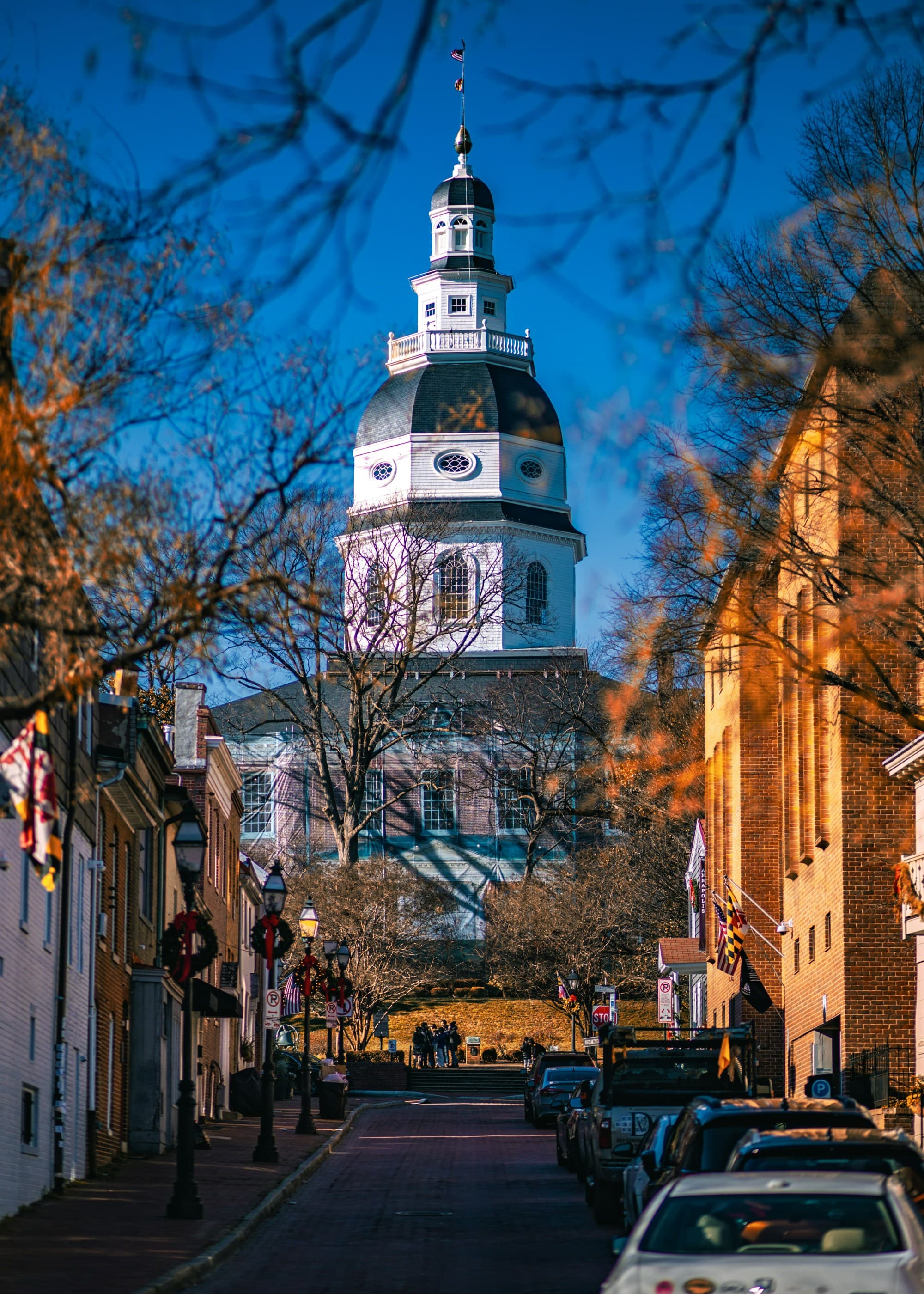A historic building with a dome and spire is seen at the end of a tree-lined street under a clear sky.