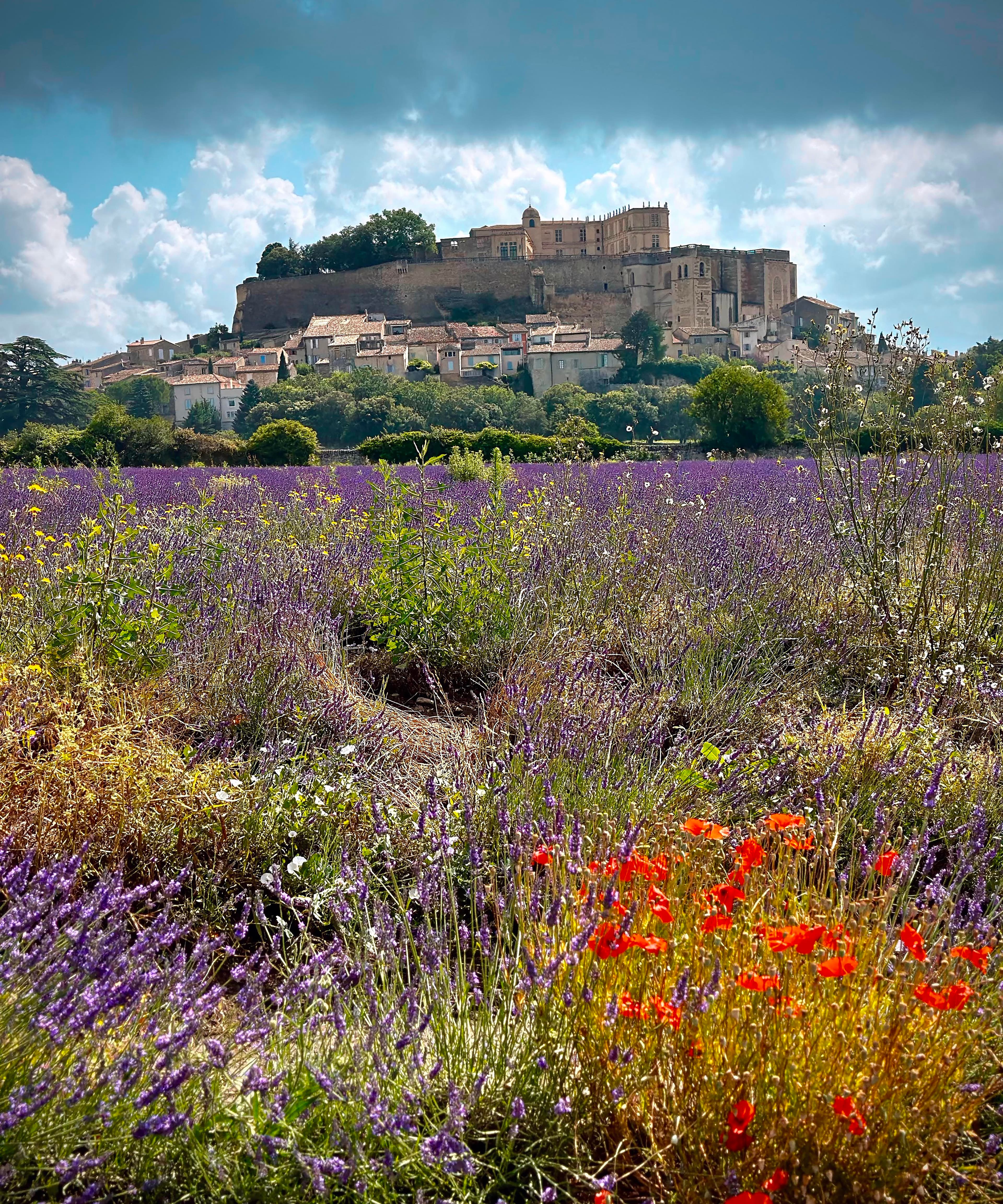 Wildflowers in a field in front of a castle.