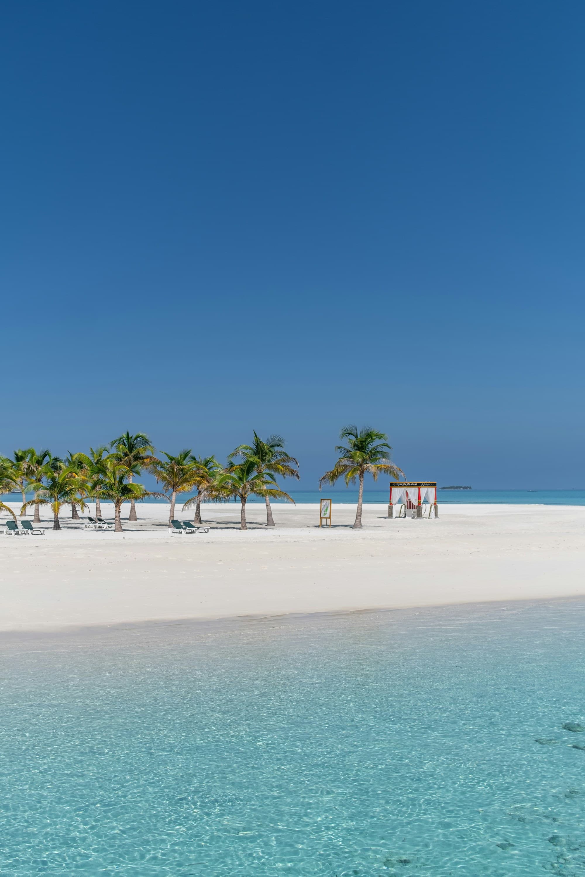 A view from the water of an empty beach with palm trees during the daytime