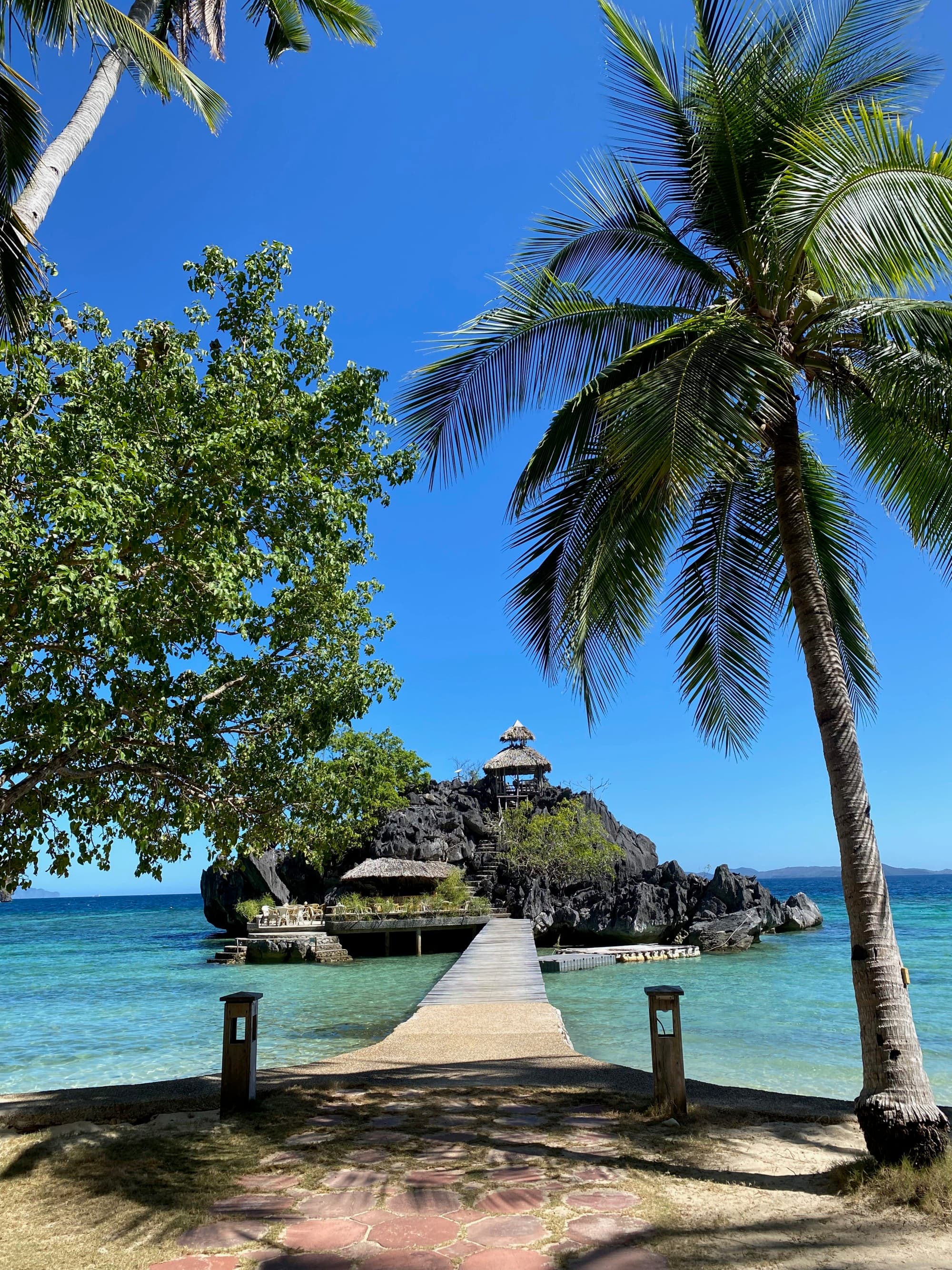 A boardwalk out over the water with palm trees in the foreground.