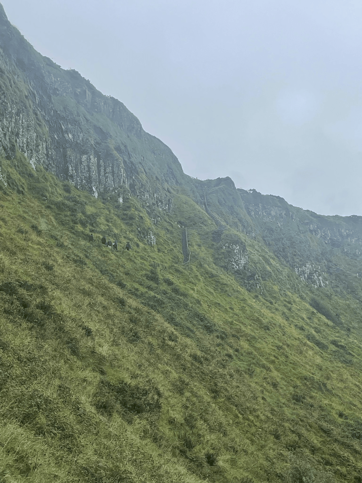 A green hillside on a cloudy day, a view you might see in Ireland in September.