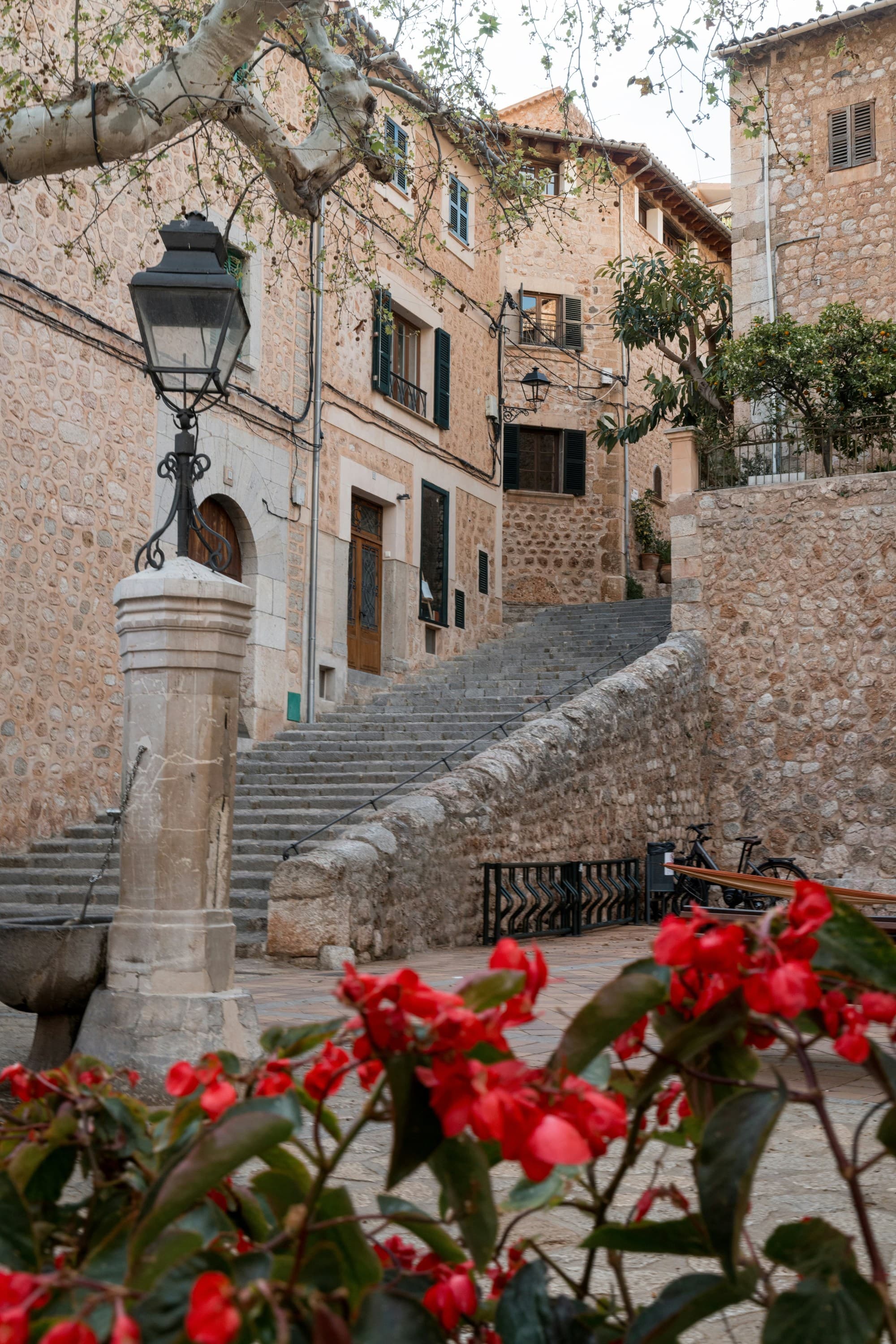 A charming stone stairway in an old European town, adorned with vibrant red flowers.