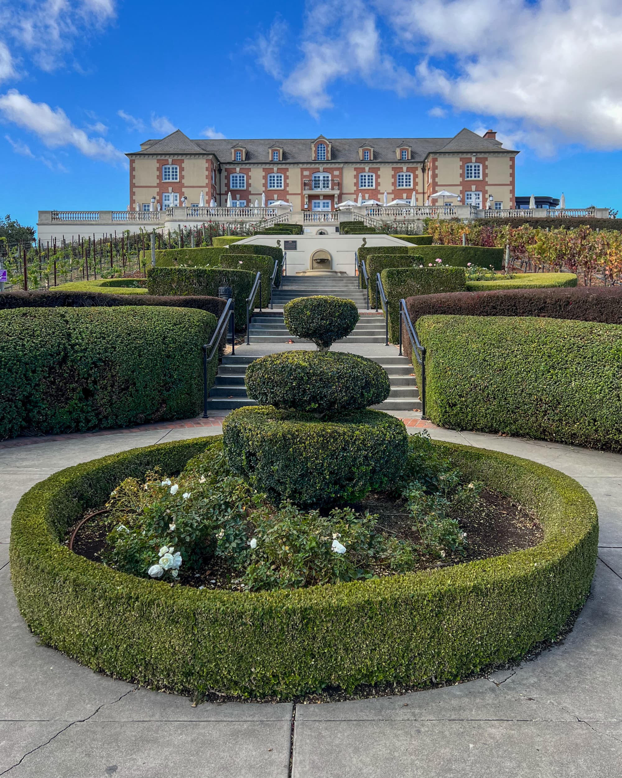 A landscaped hedge on a concrete stairway leading up to one of the best California vineyards, Domaine Carneros, a large estate on a hilltop. - Soleil