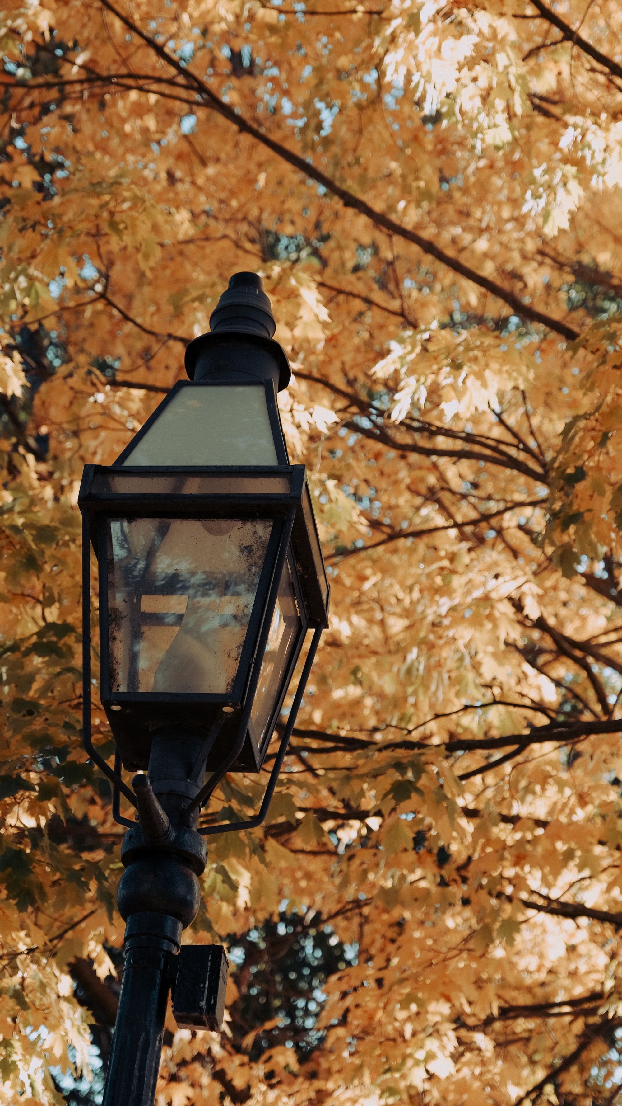 an old lamp post in front of yellow fall leaves