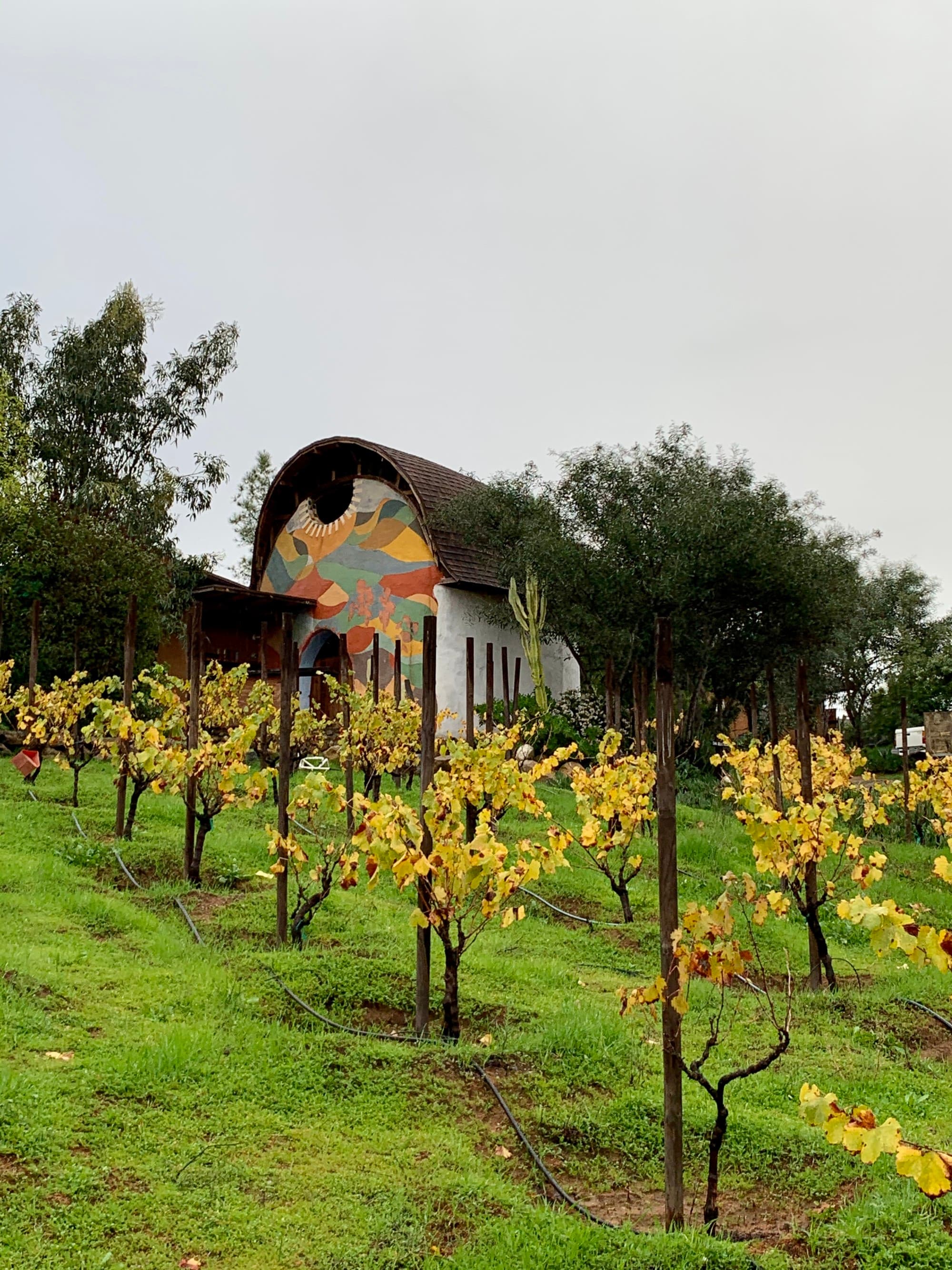 A picture taken from a far of a field with plant and a hut.