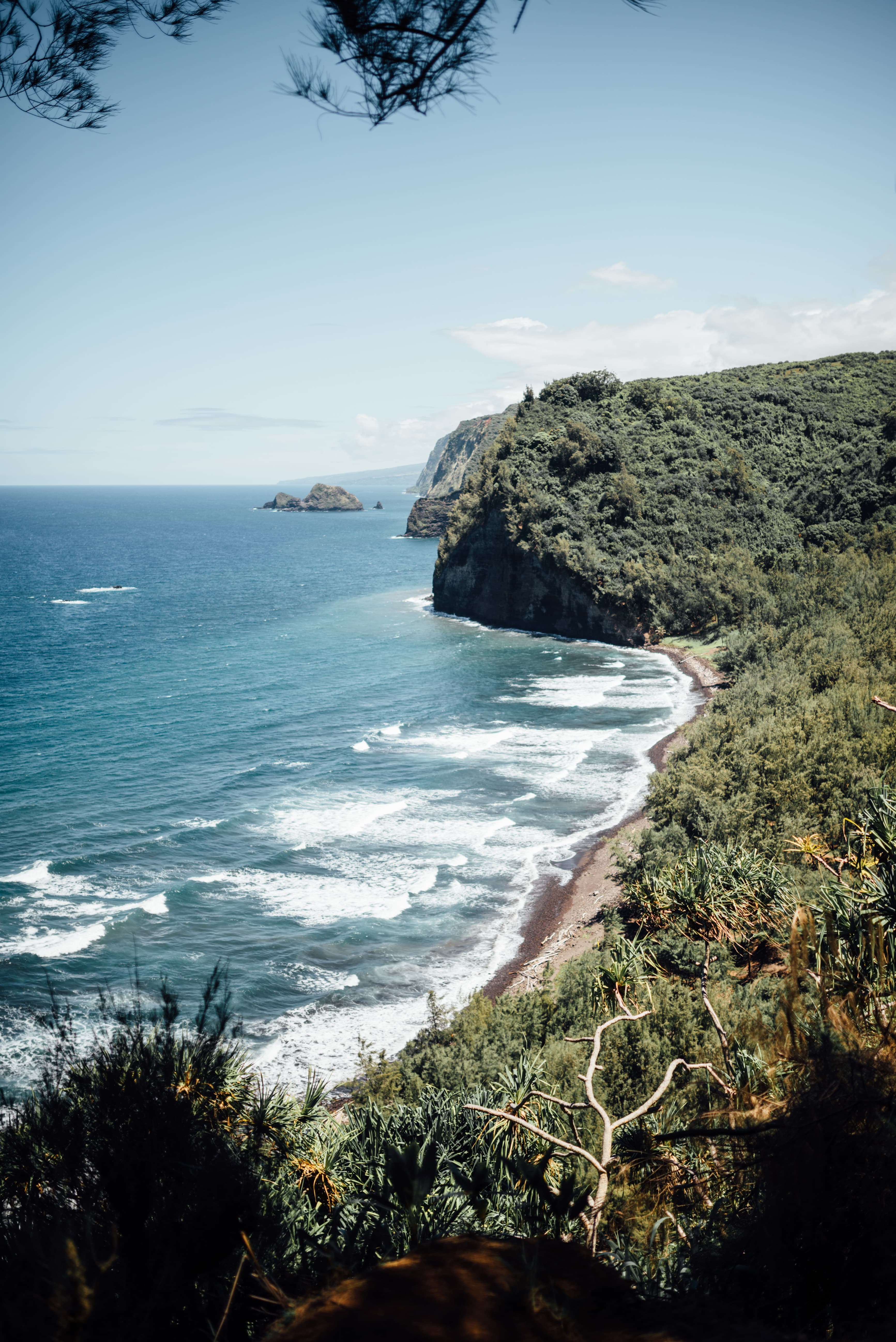 coastline next to ocean during daytime