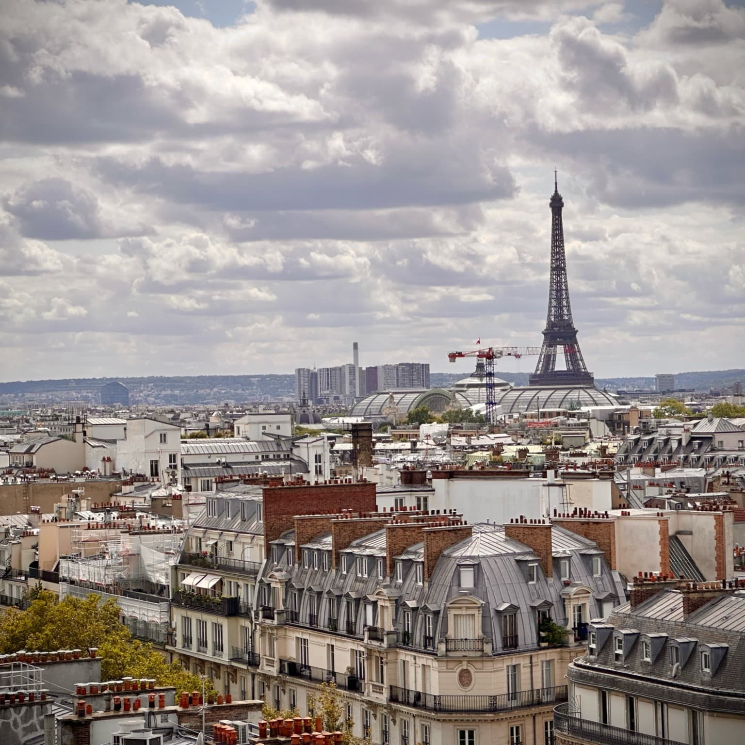 Aerial picture of Paris with buildings and Eiffel tower.