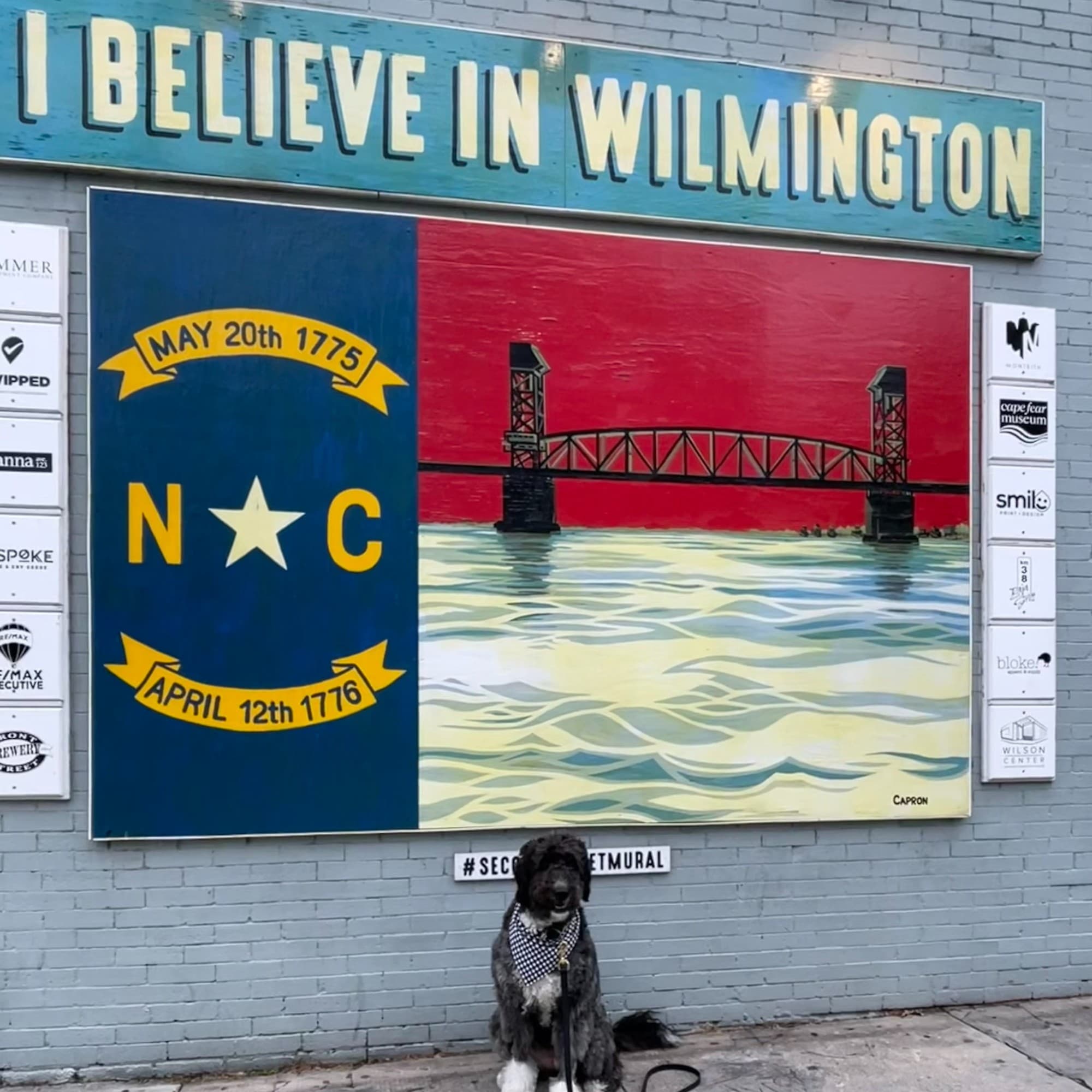 A dog sitting in front of a board saying "I believe in Wilmington".