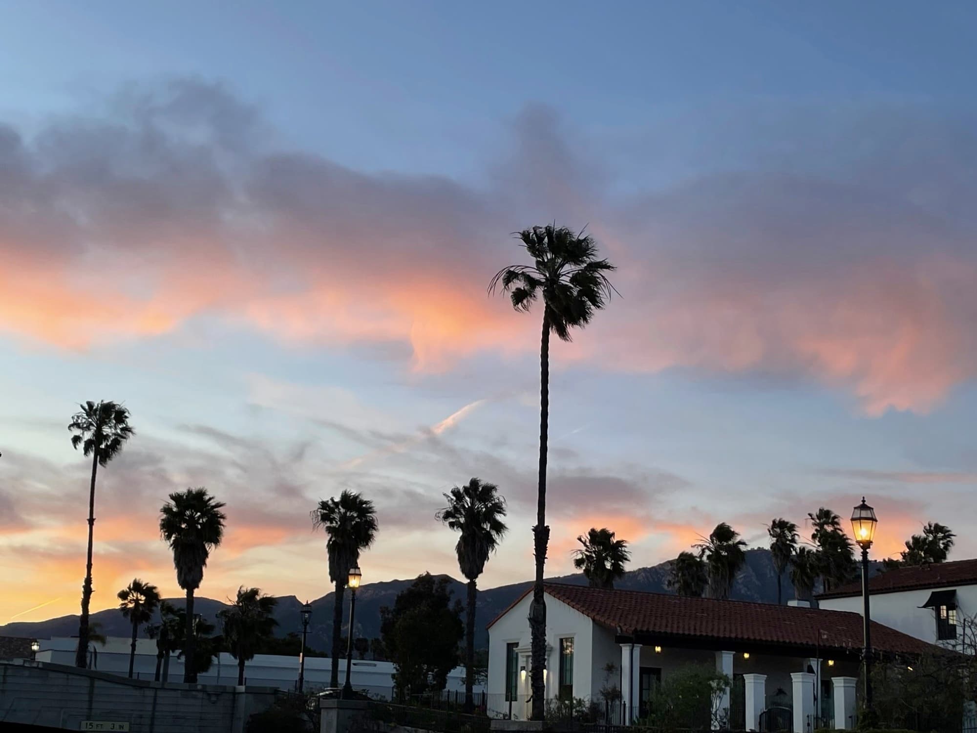 White houses and palm trees during sunset
