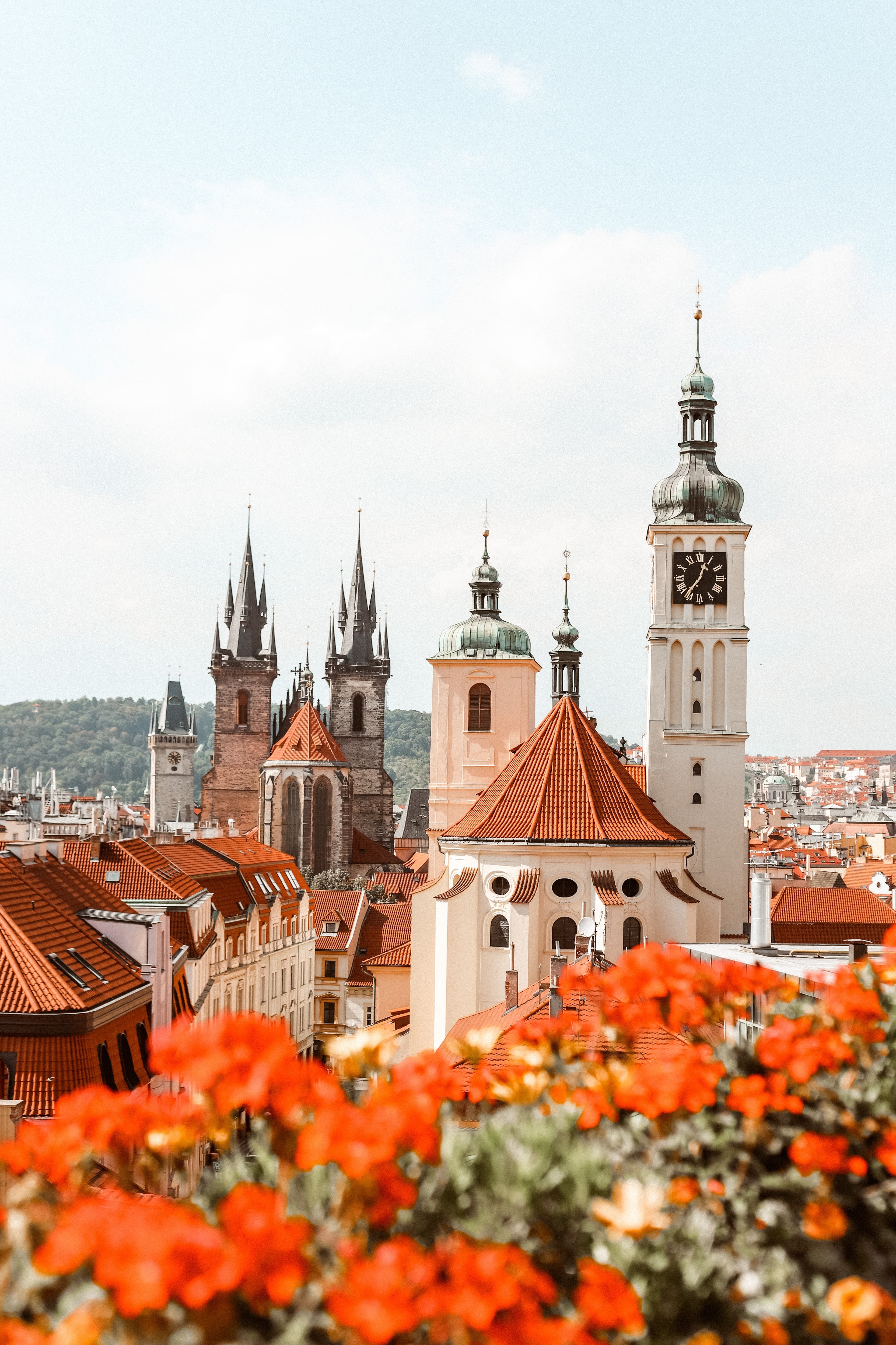 The rooftops of Prague framed by orange flowers.