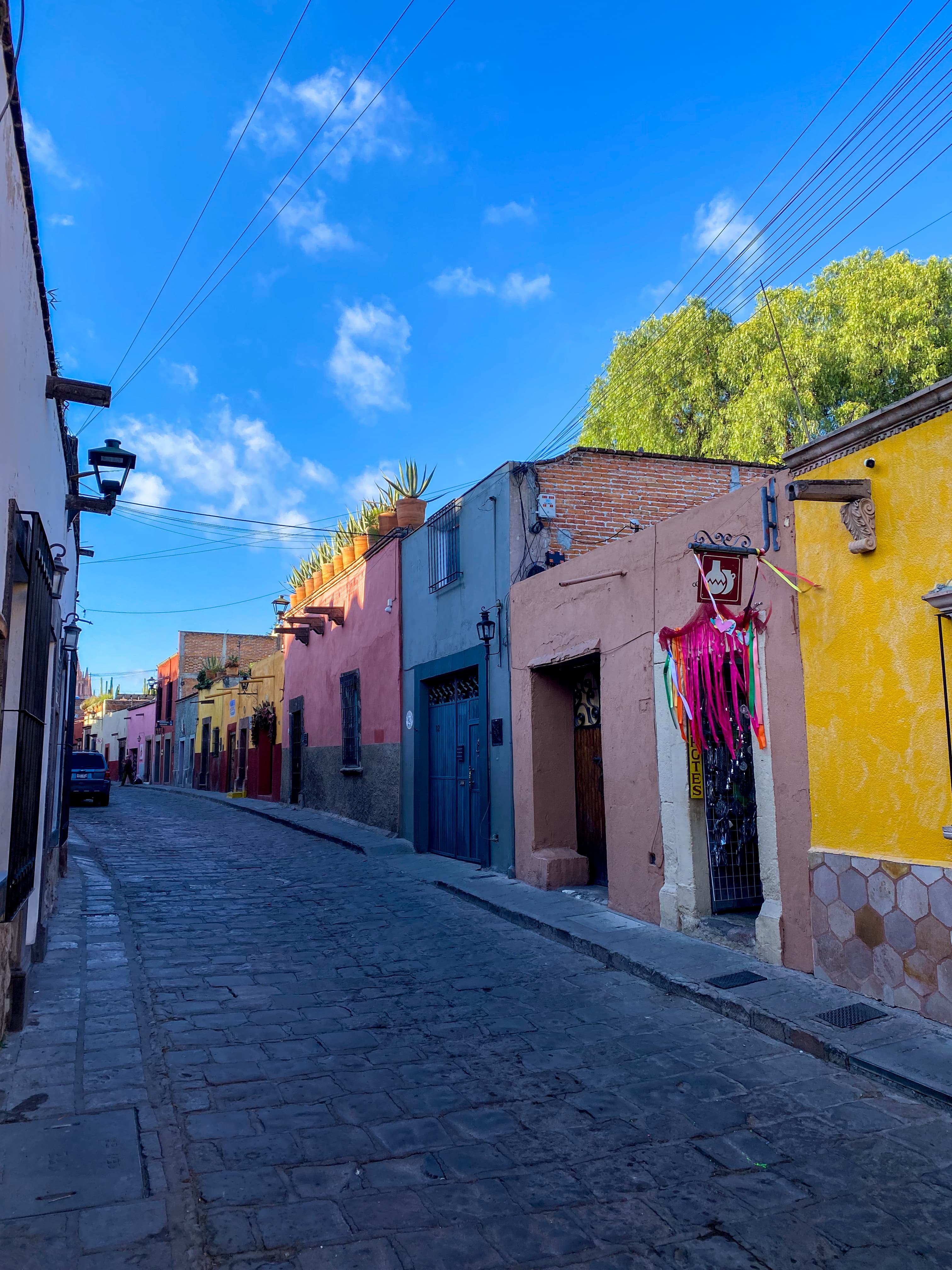 A street aligned with colorful blue, yellow and pink buildings surrounded by green trees and a hanging pot of pink flowers.