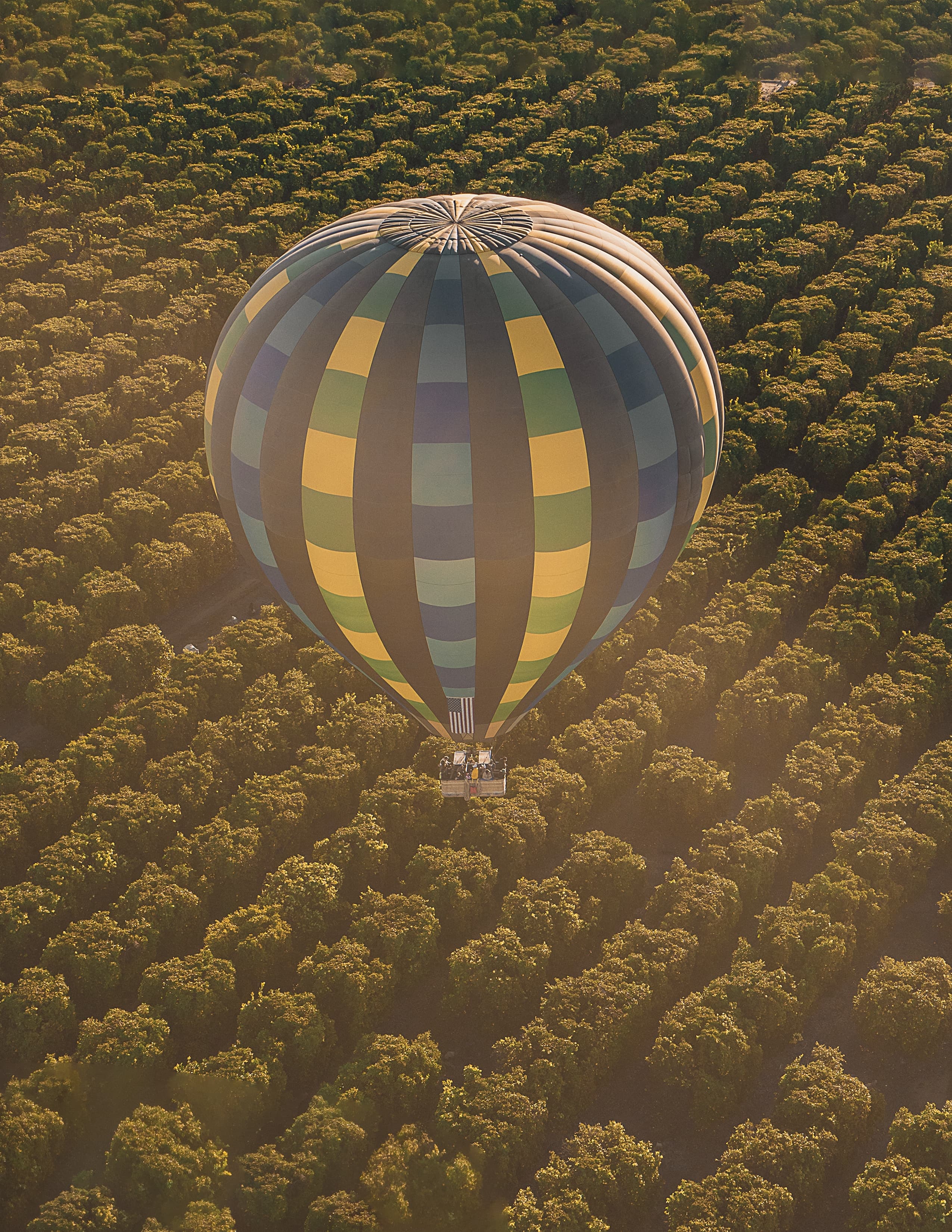 Temecula hot air ballon over vineyards.