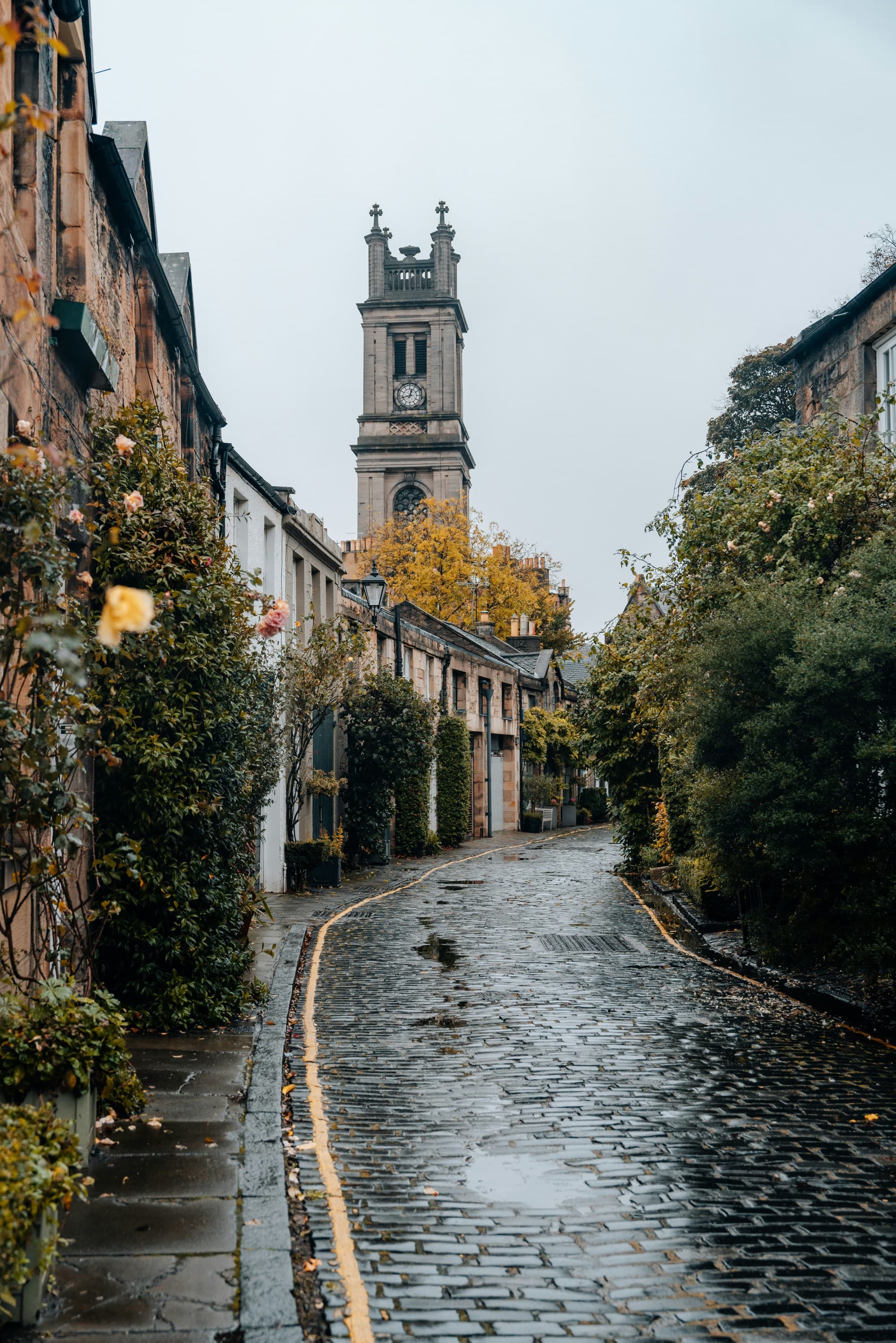 A wet cobblestone street lined with attached houses during an overcast day