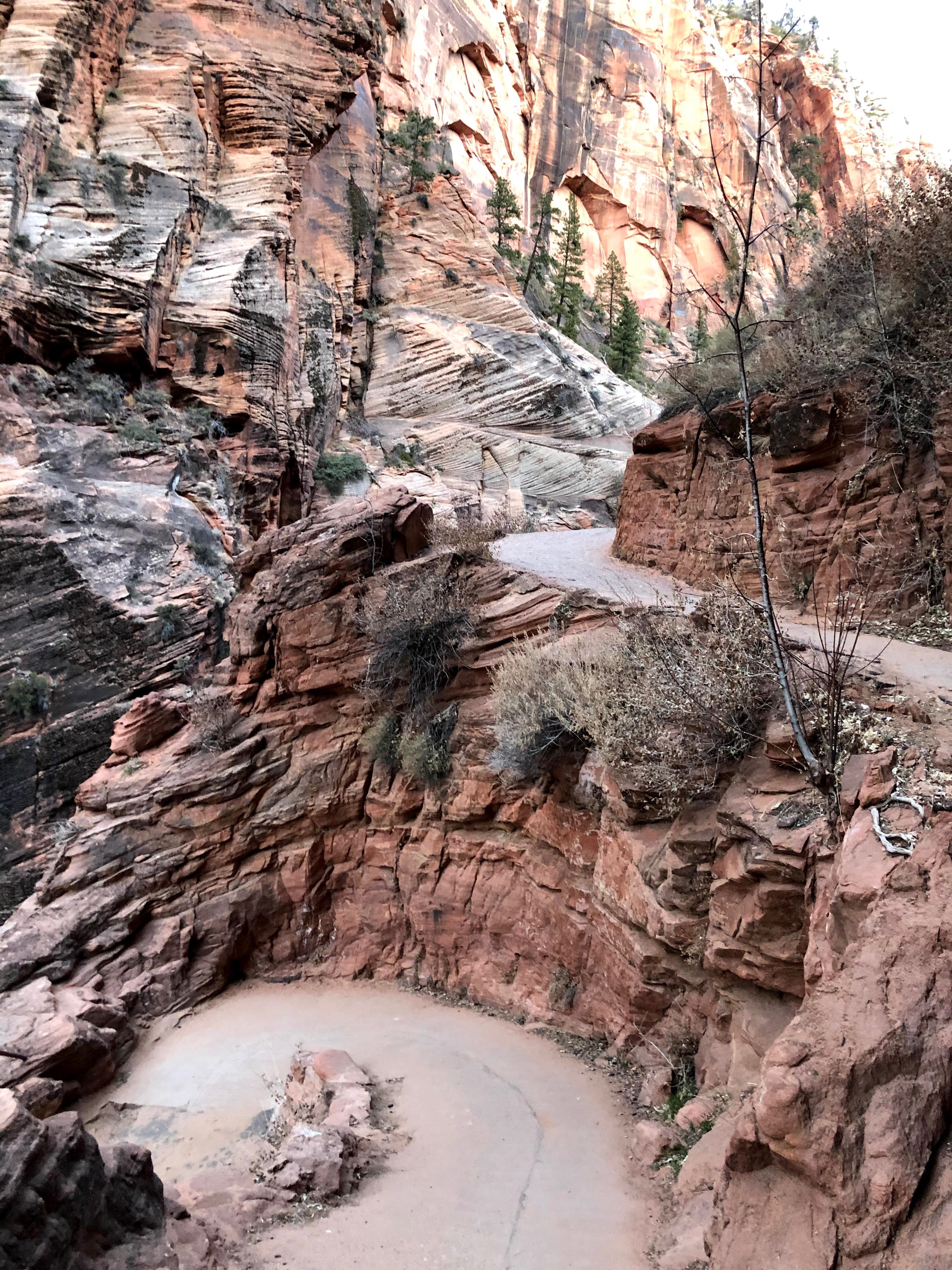 Zion National Park orange cliffs.