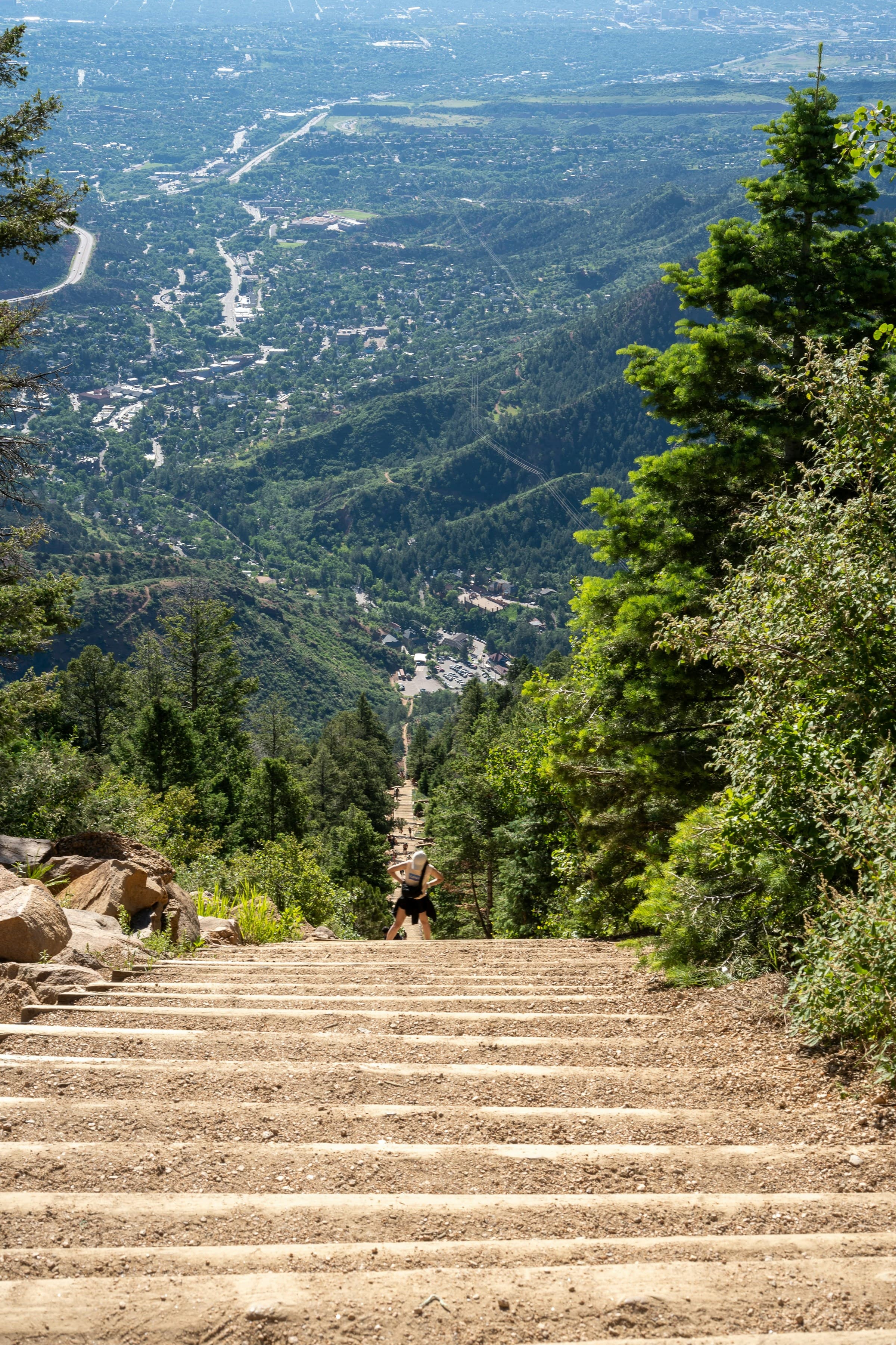 A set of steep stairs in a forest