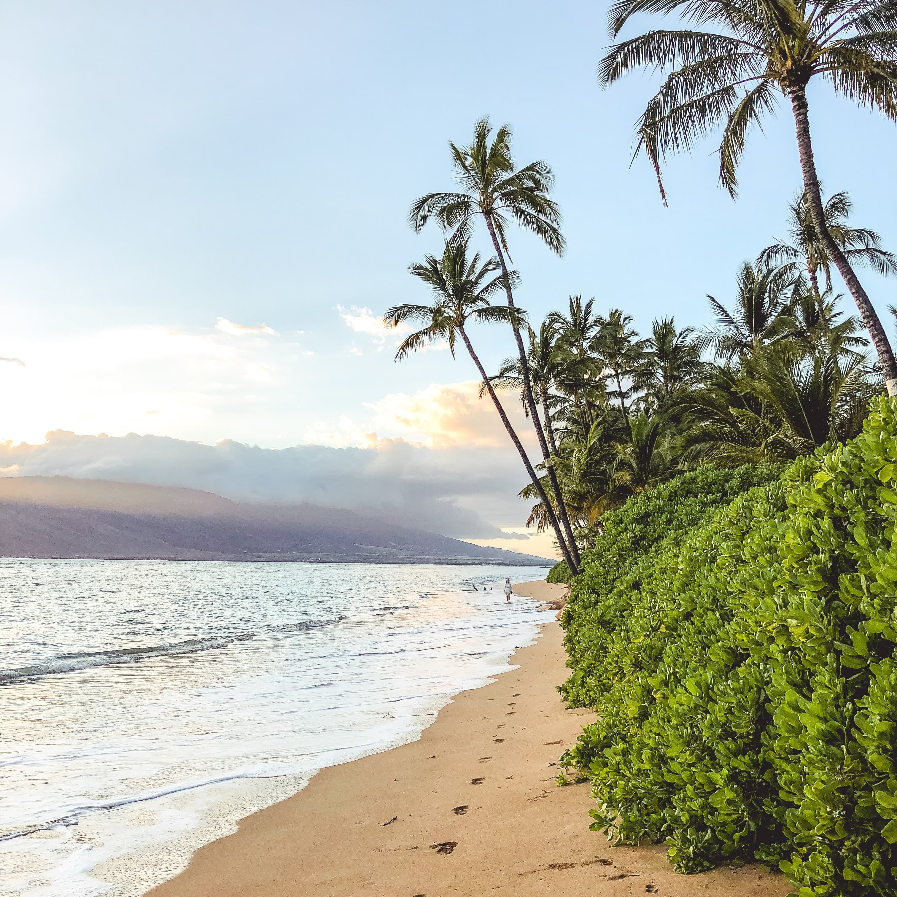 Beach with palm trees.