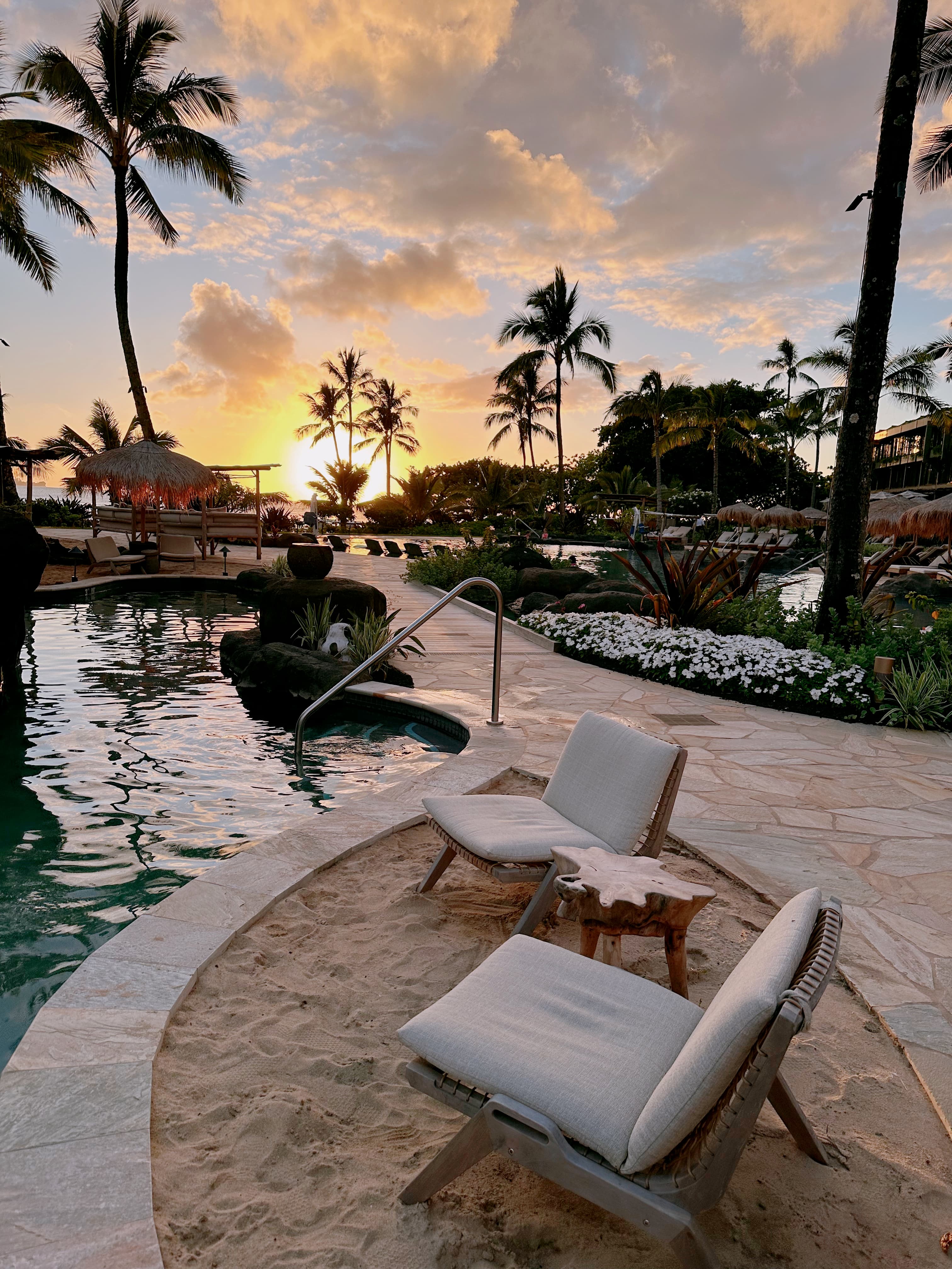 Sunset view on Kauai Island palm trees