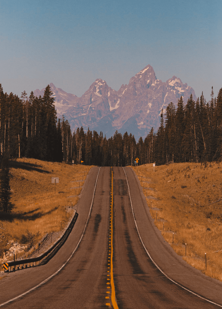An empty road leading toward a view of snowy peaked mountains and pine trees.